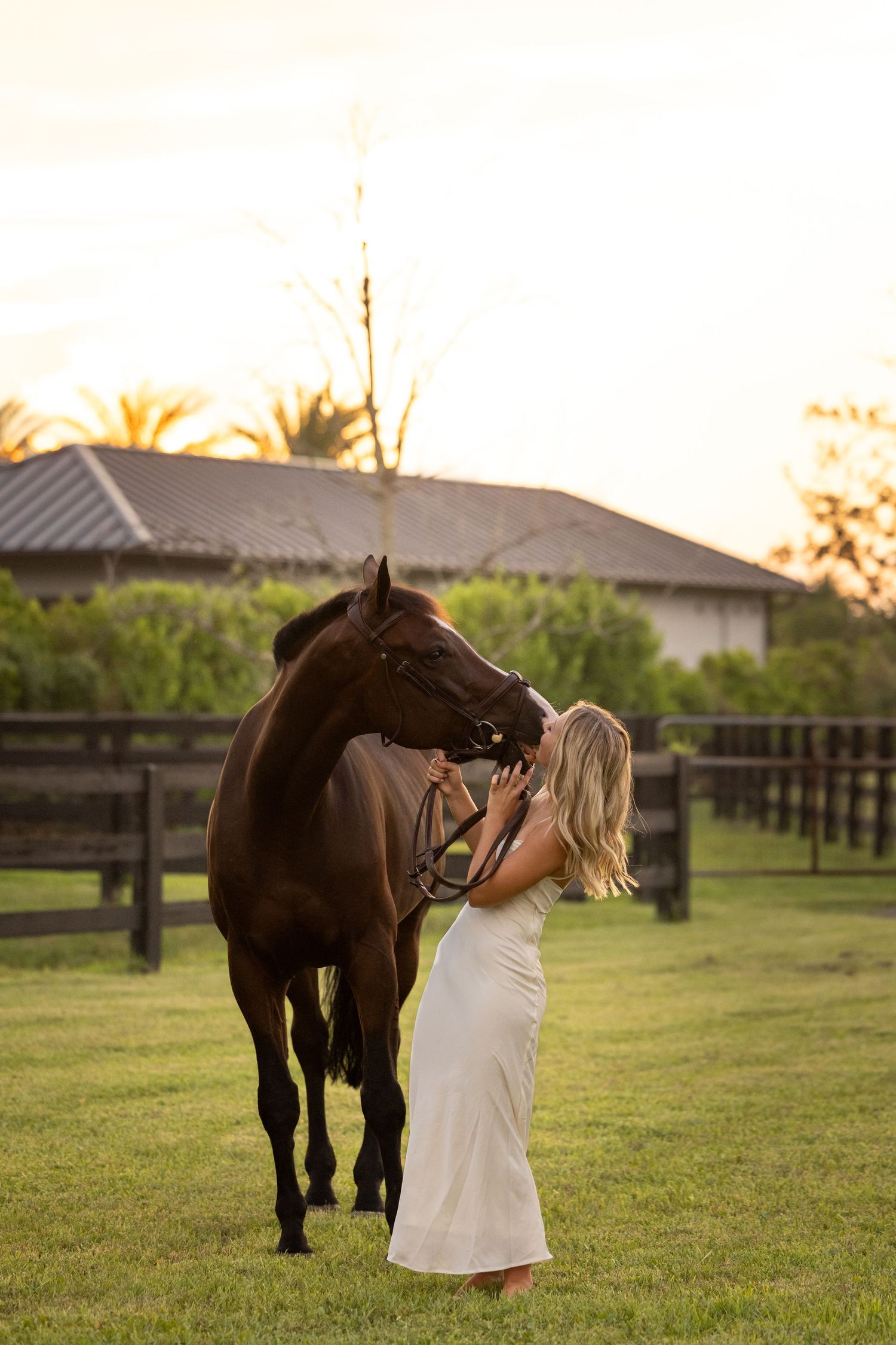 A brown horse and companion share tender moment at sunset near stables.