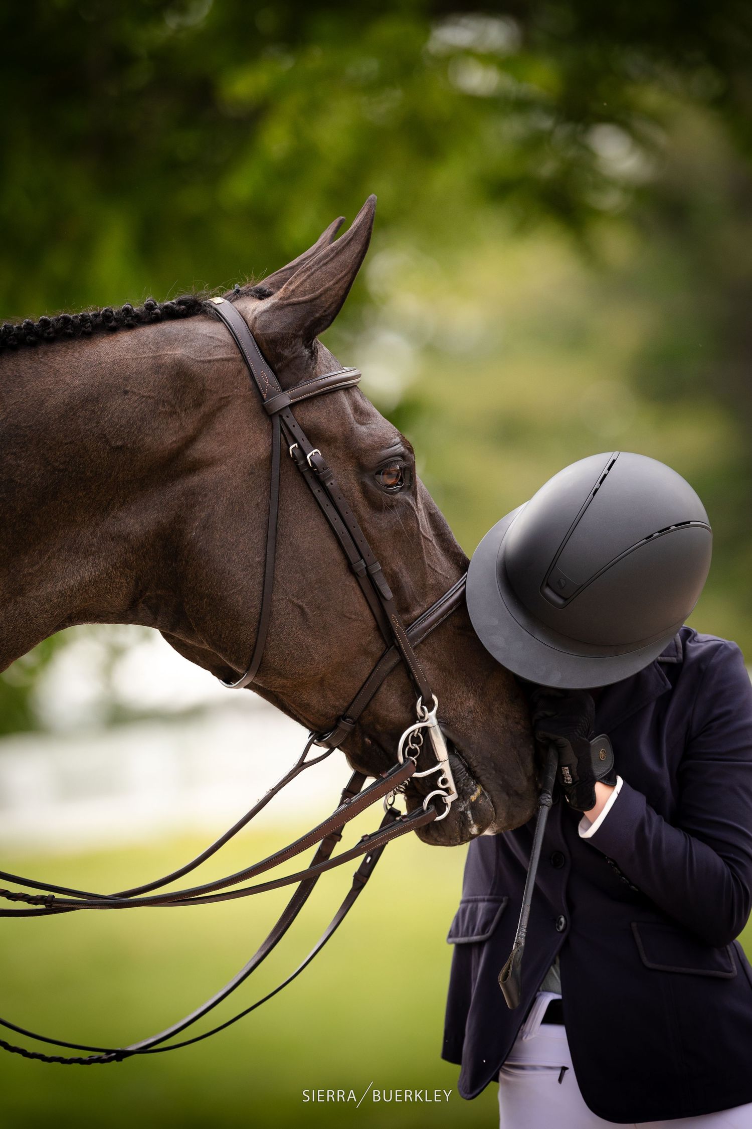A beautiful brown horse and rider in formal equestrian attire share a tender moment during a competition.