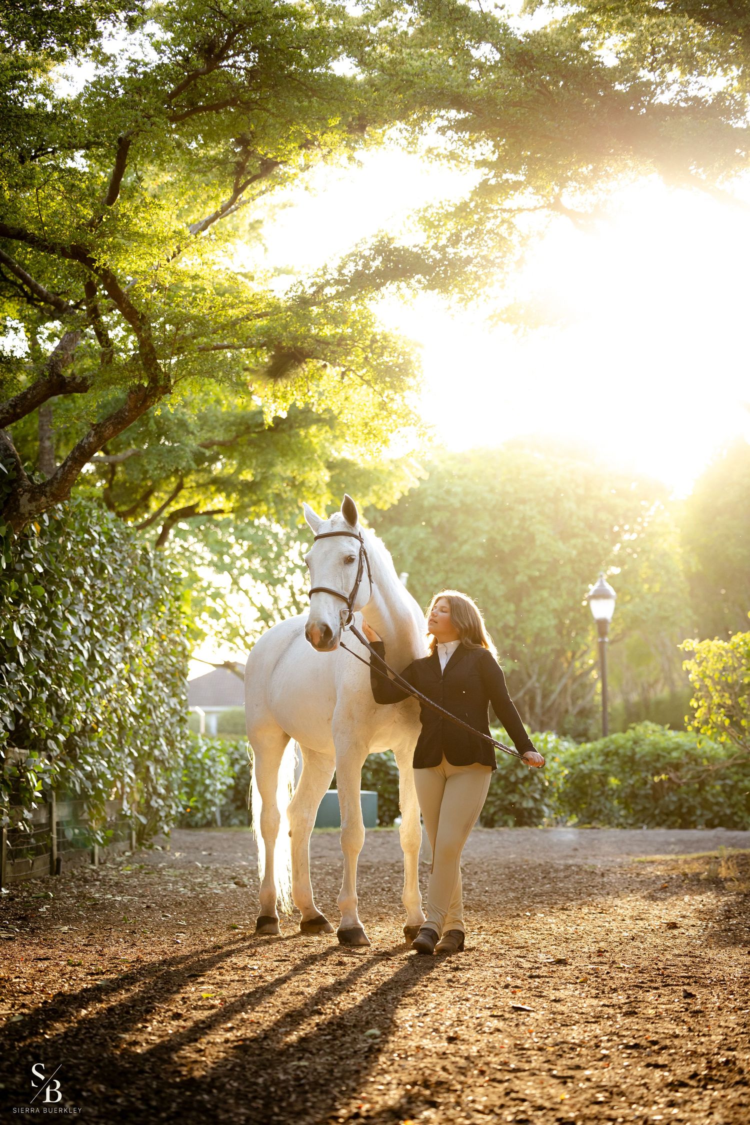 A white horse and companion walking along a sunlit path with golden rays streaming through tree branches.