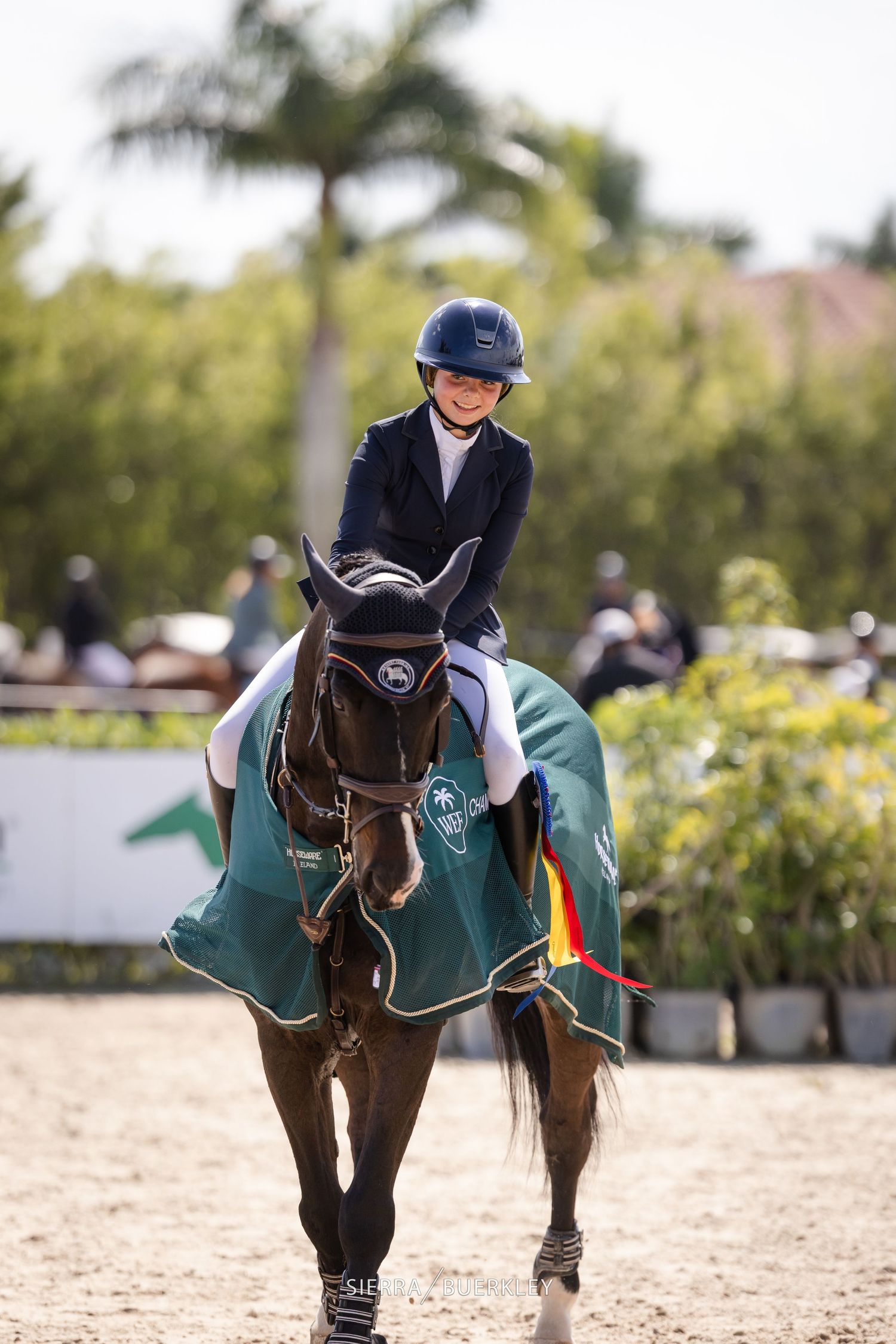 Equestrian rider in navy blazer competing on a dark horse wearing an elegant teal blanket during a competition.