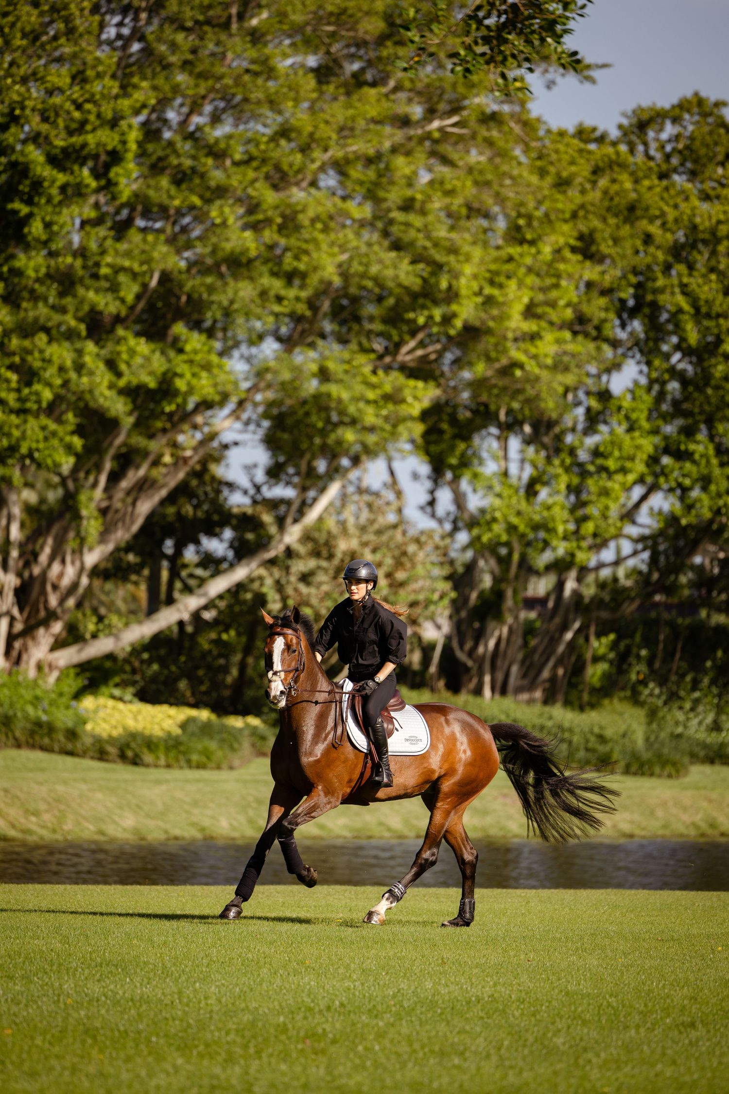 Equestrian riding a bay horse on lush grass field with trees in background.