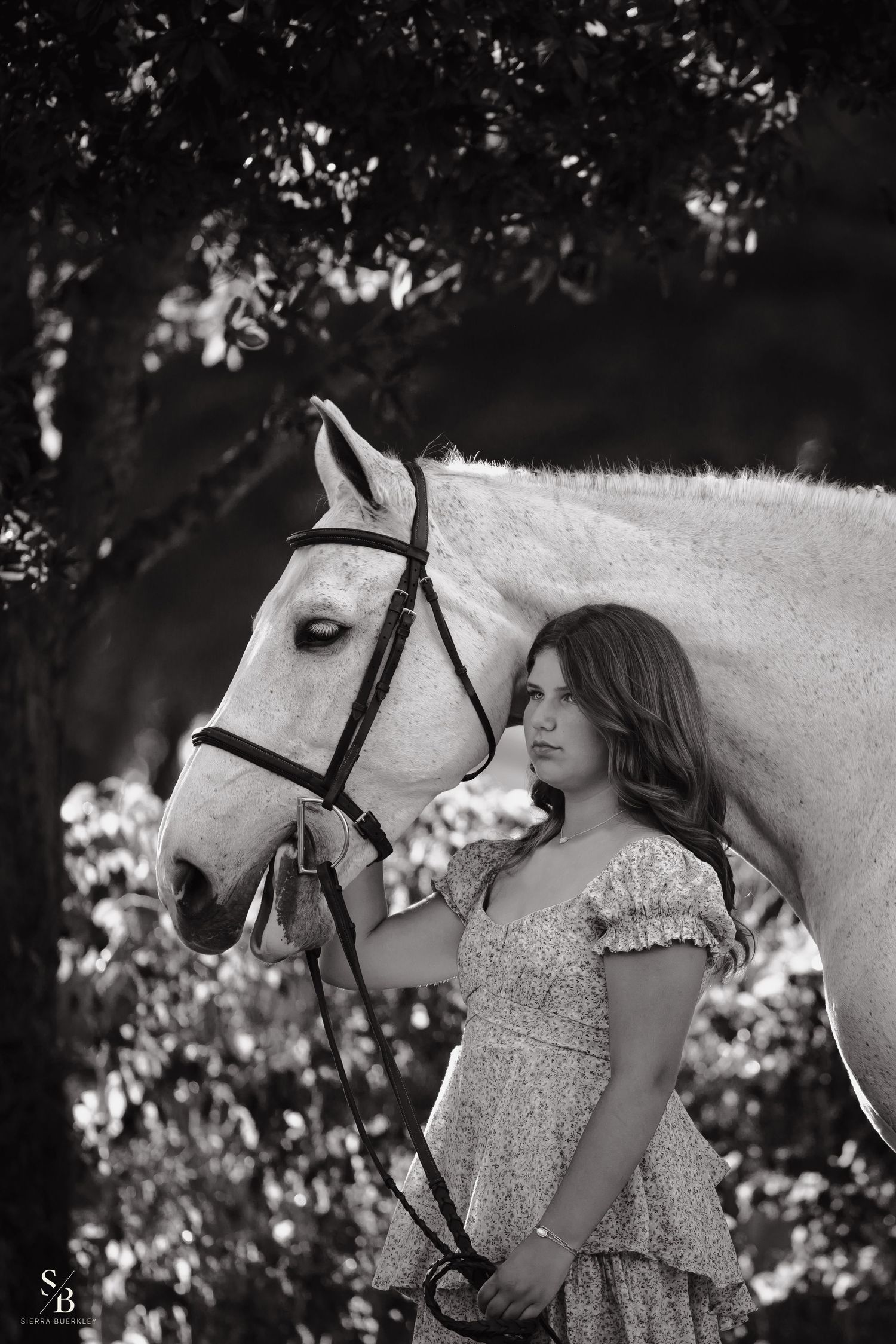A striking black and white portrait of a white horse and companion in an artistic composition.