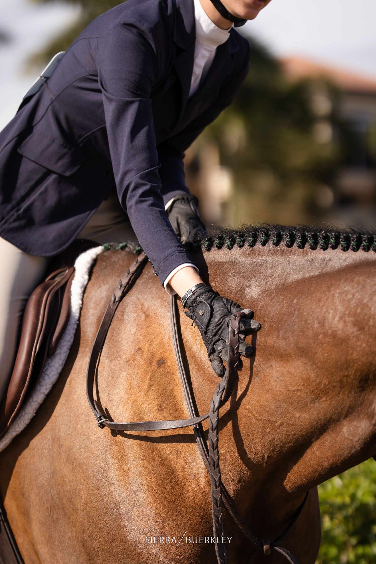 Close-up shot of an equestrian rider in navy show coat and gloves holding leather reins on a bay horse.