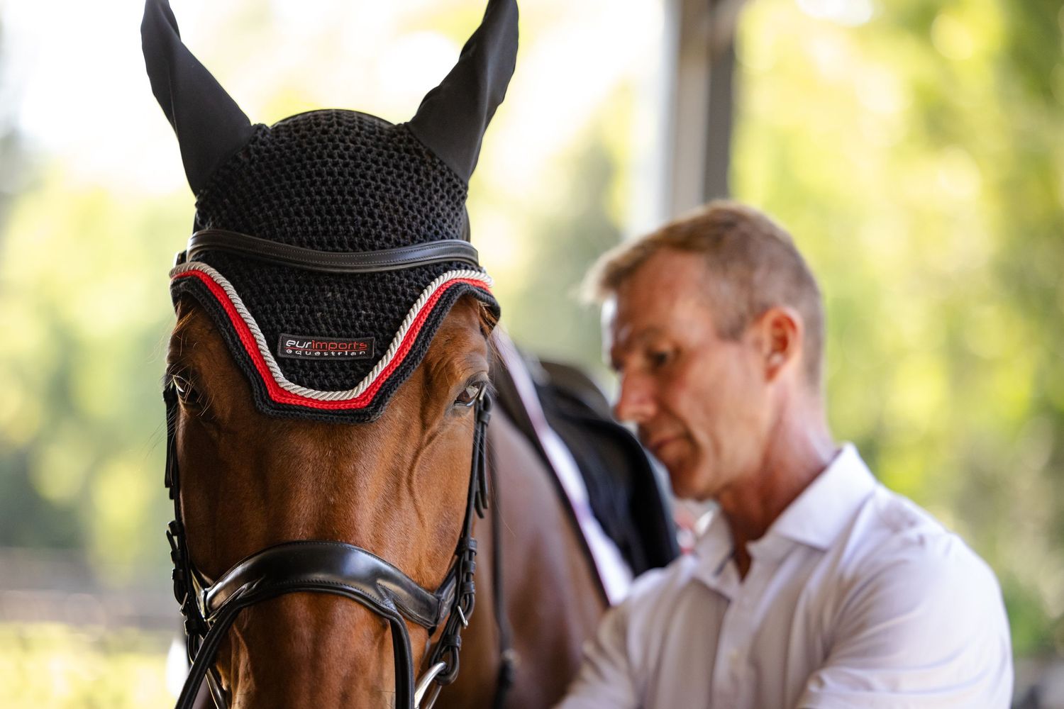 A bay horse wearing a black and red ear bonnet gazes forward while being attended to in an outdoor setting.