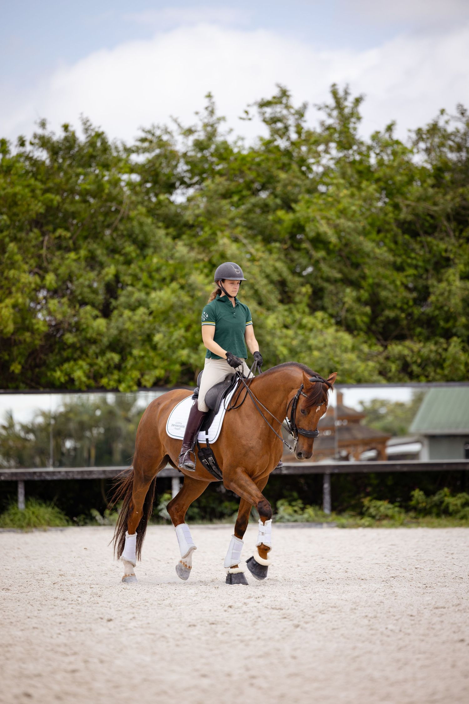 A bay horse performs dressage movements in an outdoor arena surrounded by greenery.