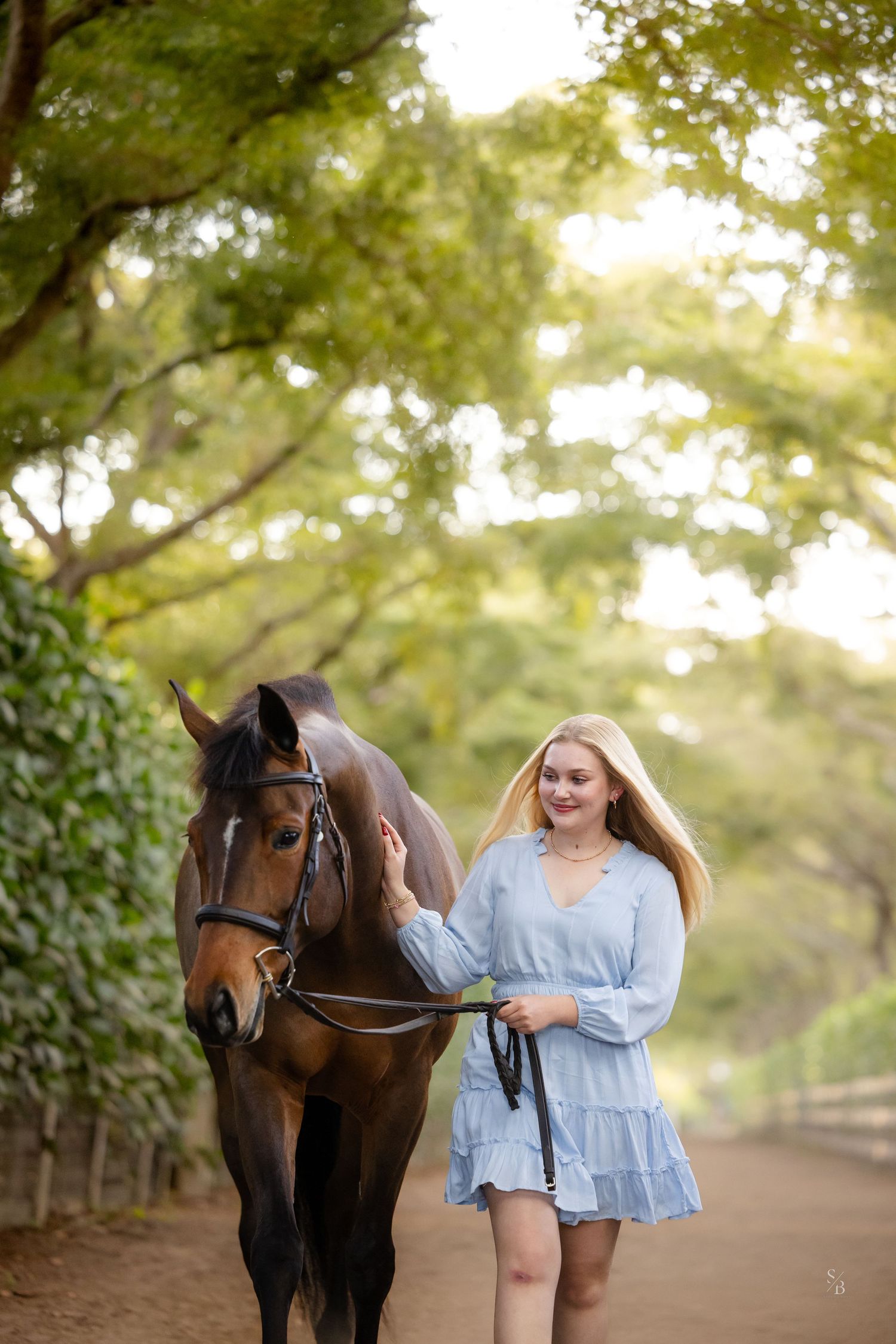 A brown horse and companion walk along a tree-lined path during golden hour.