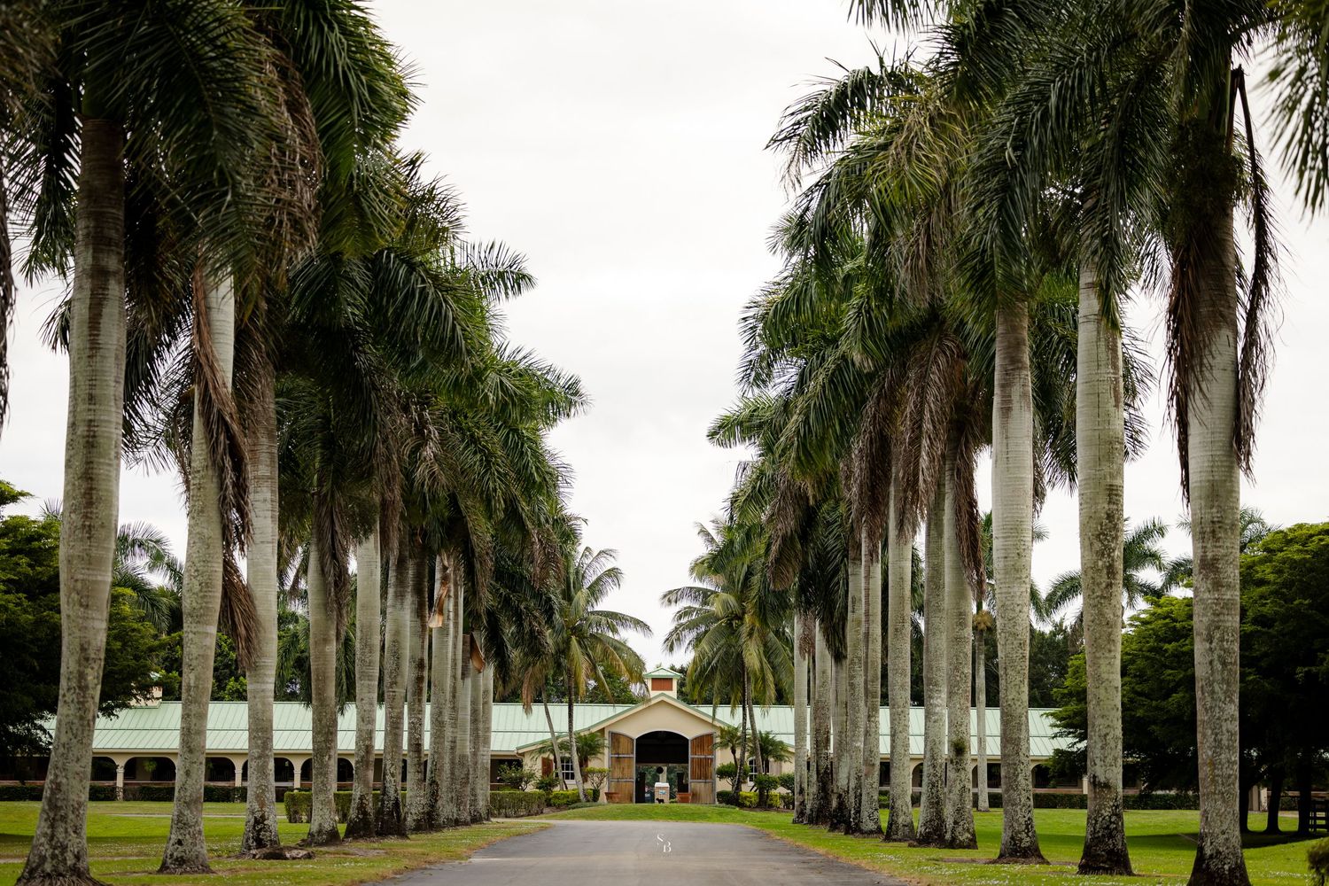 equestrian property shot