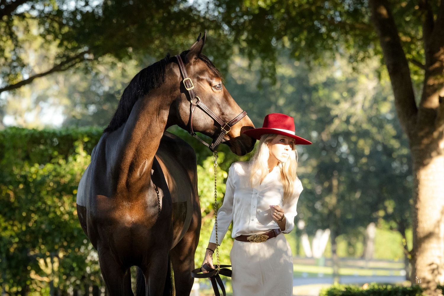 Elegant scene with bay horse and person in white dress and red hat in sunlit garden.