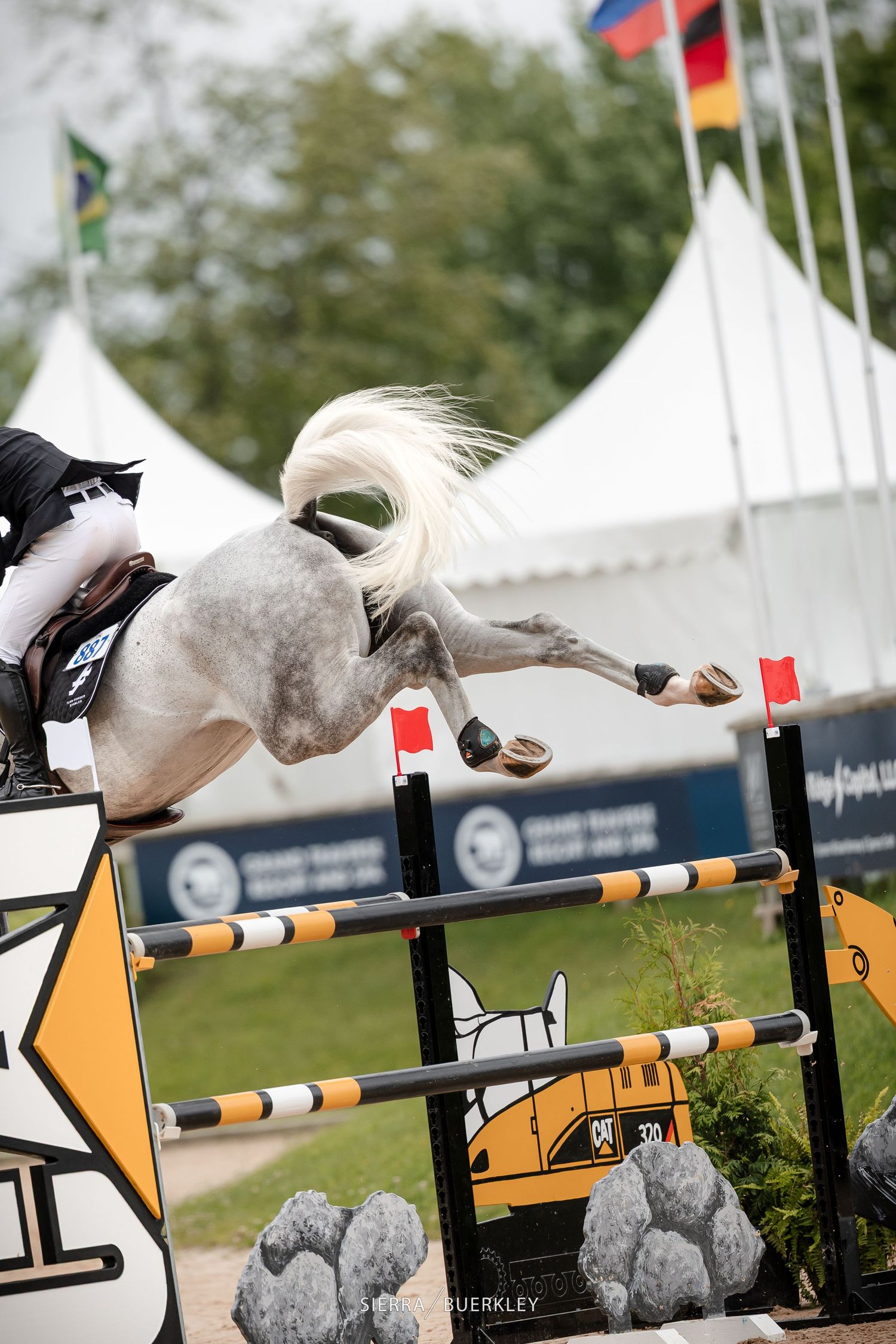 A sequence showing four stages of a white horse knocking down jumping poles at an equestrian competition.