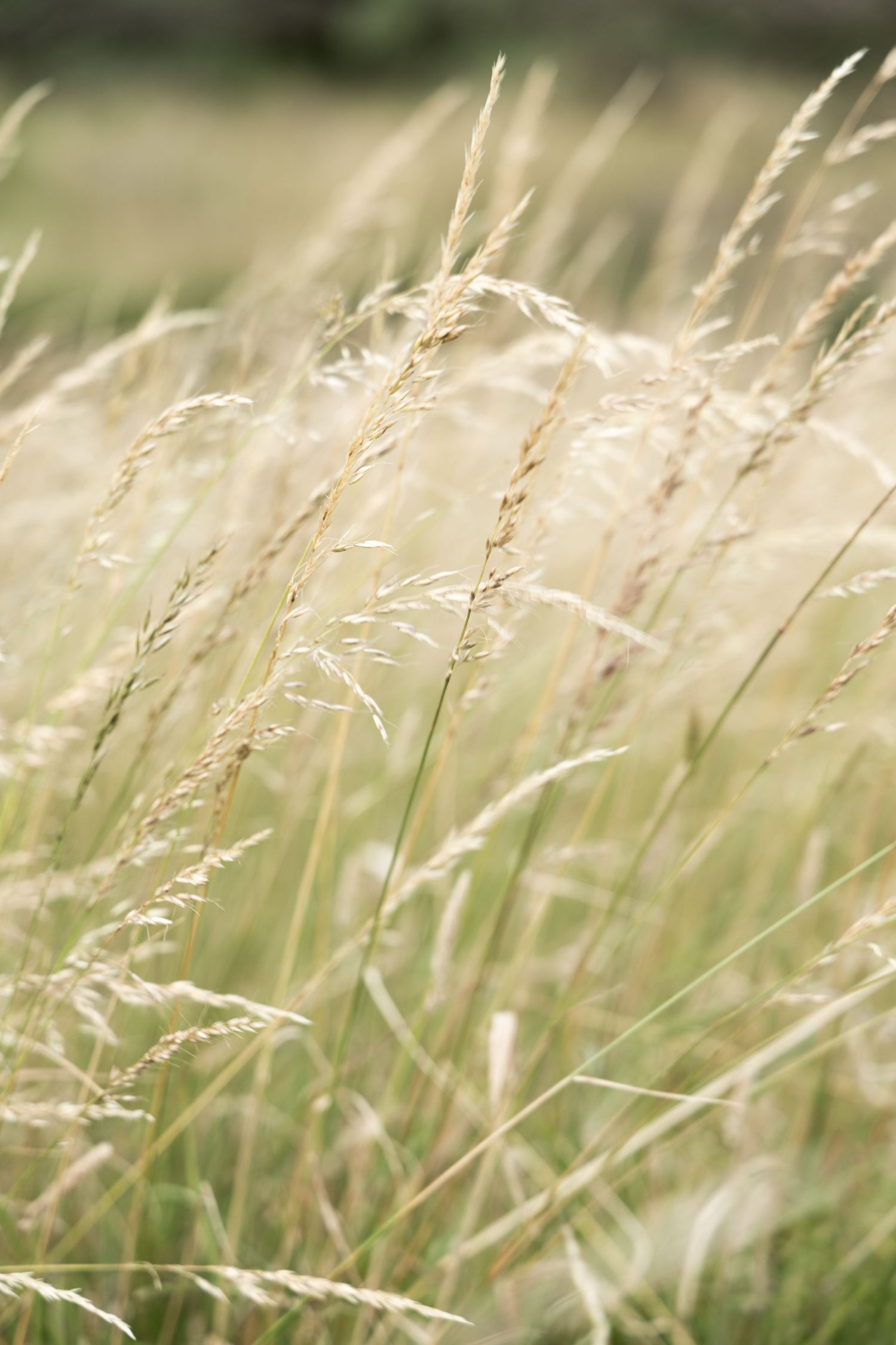 Details von einem Naturshooting, Naturfoto mit ganz viel Lichts. Detailaufnahme zu sehen.
