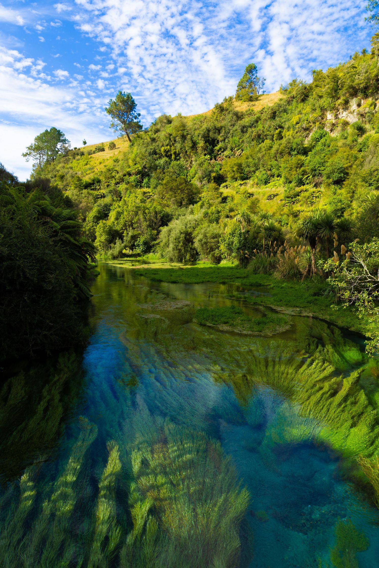 Ruhige Szene mit spiegelndem Wasser, das die umstehenden Bäume reflektiert, und eine friedliche Atmosphäre inmitten der Natur schafft.