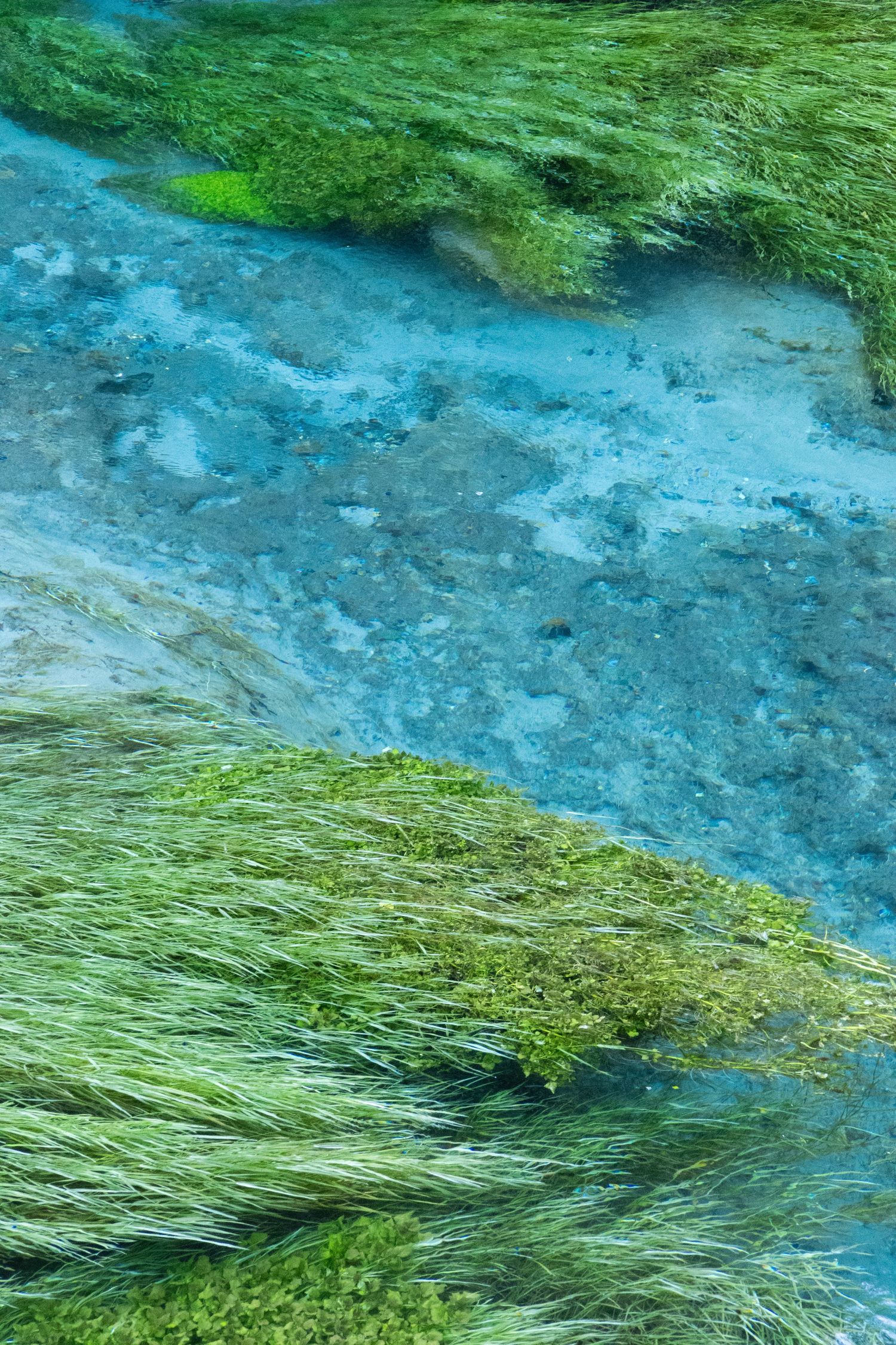 Detailbild: Kristallklares, tiefblaues Wasser, das sanft in der Sonne schimmert und eine ruhige, einladende Atmosphäre schafft.