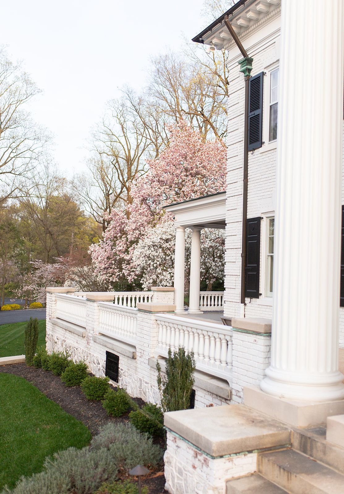 Elegant white balustrade and columns with pink flowering trees in the background.