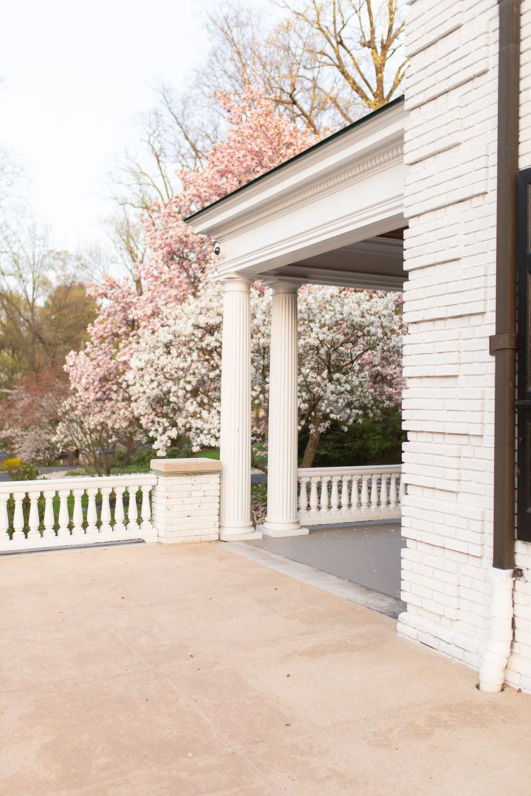 White porch with classical columns framed by blooming cherry blossoms in spring.