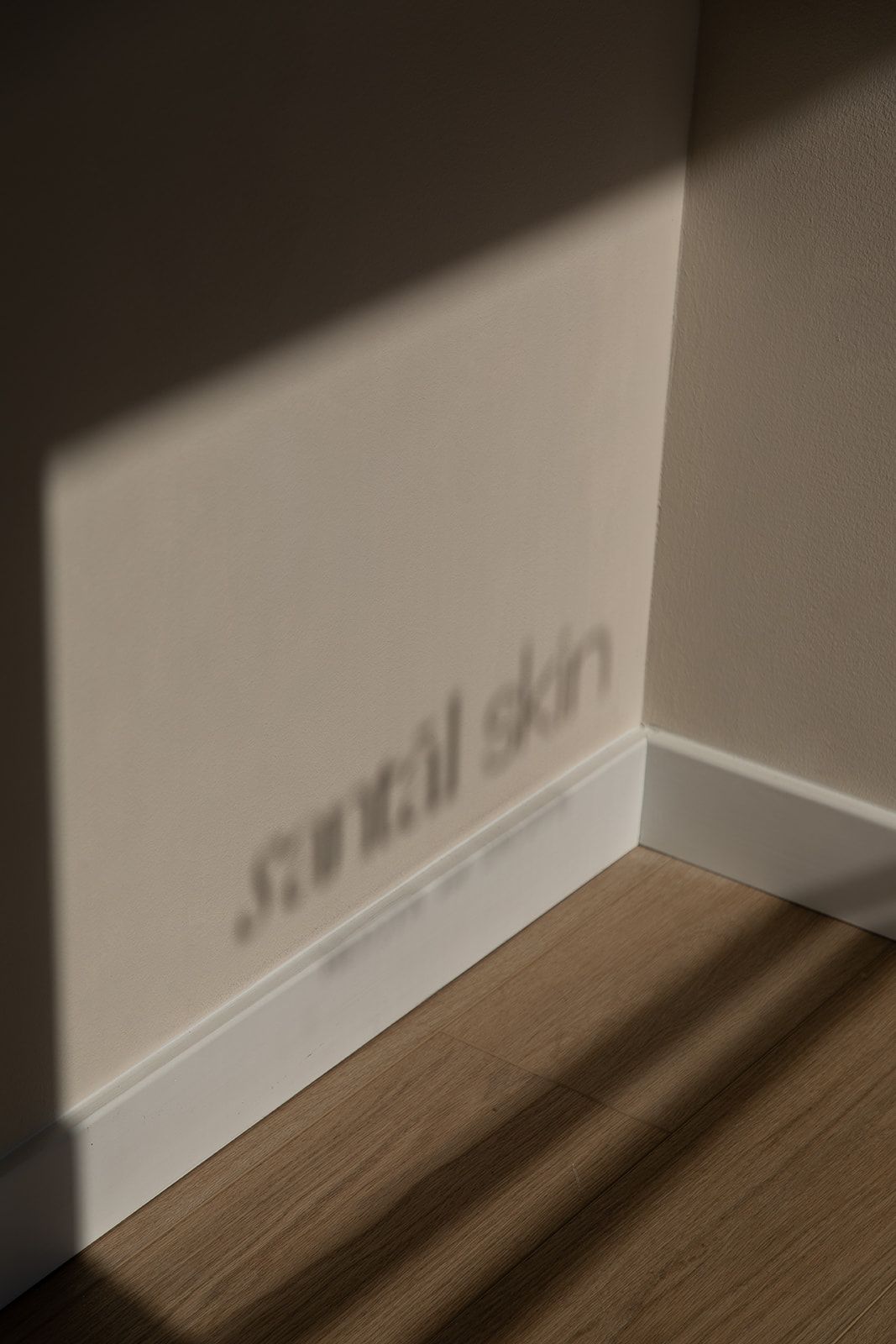 Shadow cast on white baseboard against a wall with hardwood flooring visible in moody interior lighting.