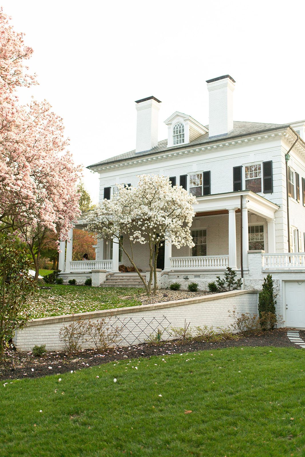 White colonial mansion with symmetrical design and flowering cherry trees in full bloom.