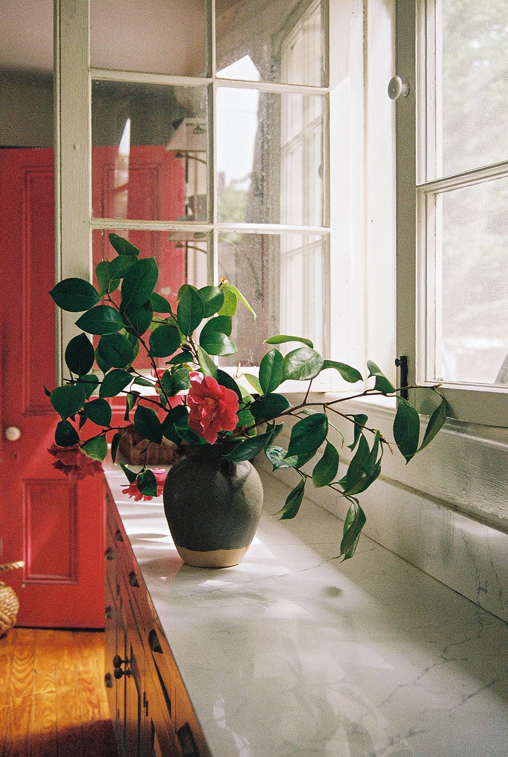 Potted plants line a white windowsill in an airy hallway leading to a striking red door at the end.
