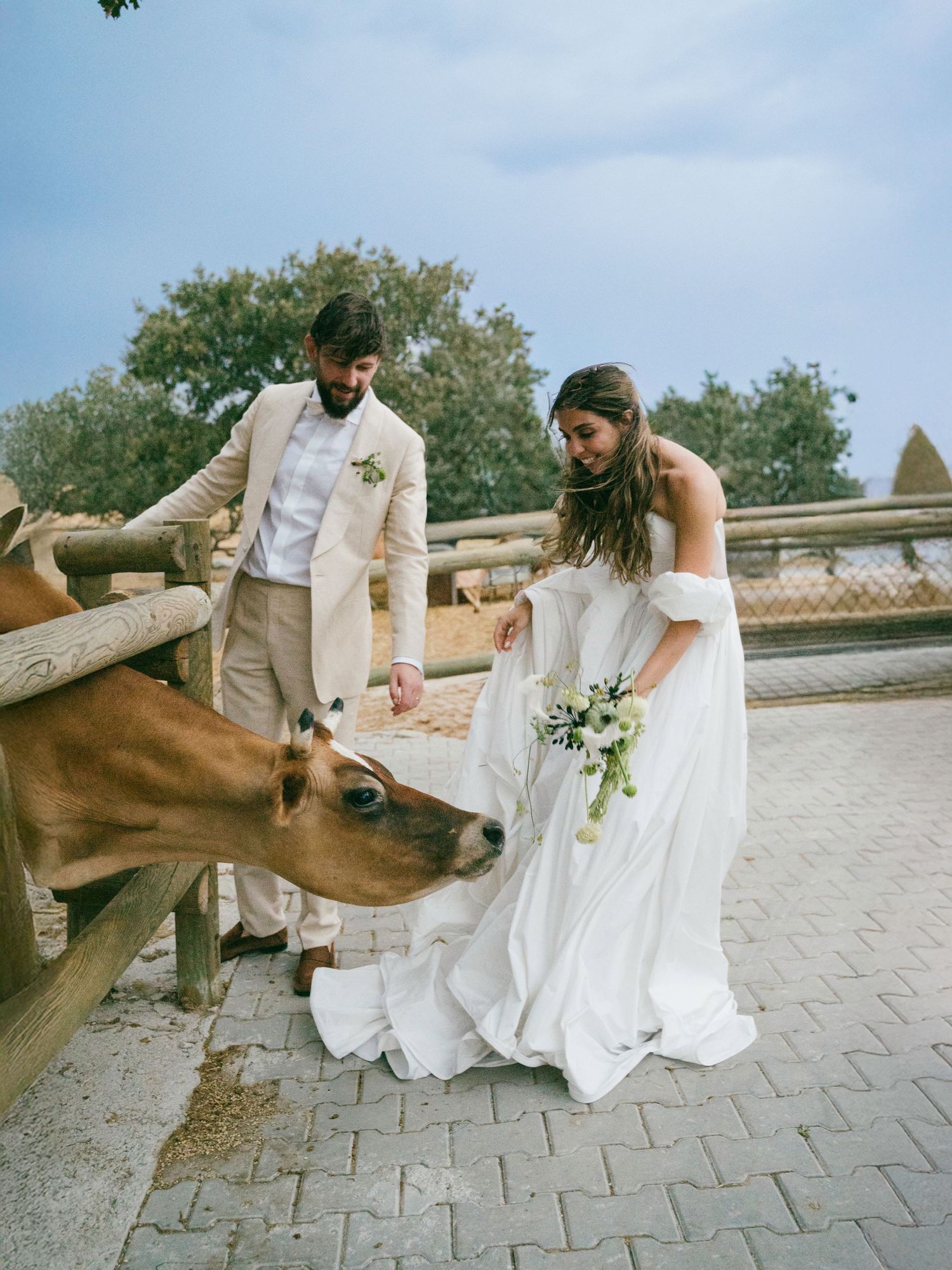 A sequence of photos showing a horse playfully kicking up its legs during a wedding photo session on a brick pathway.