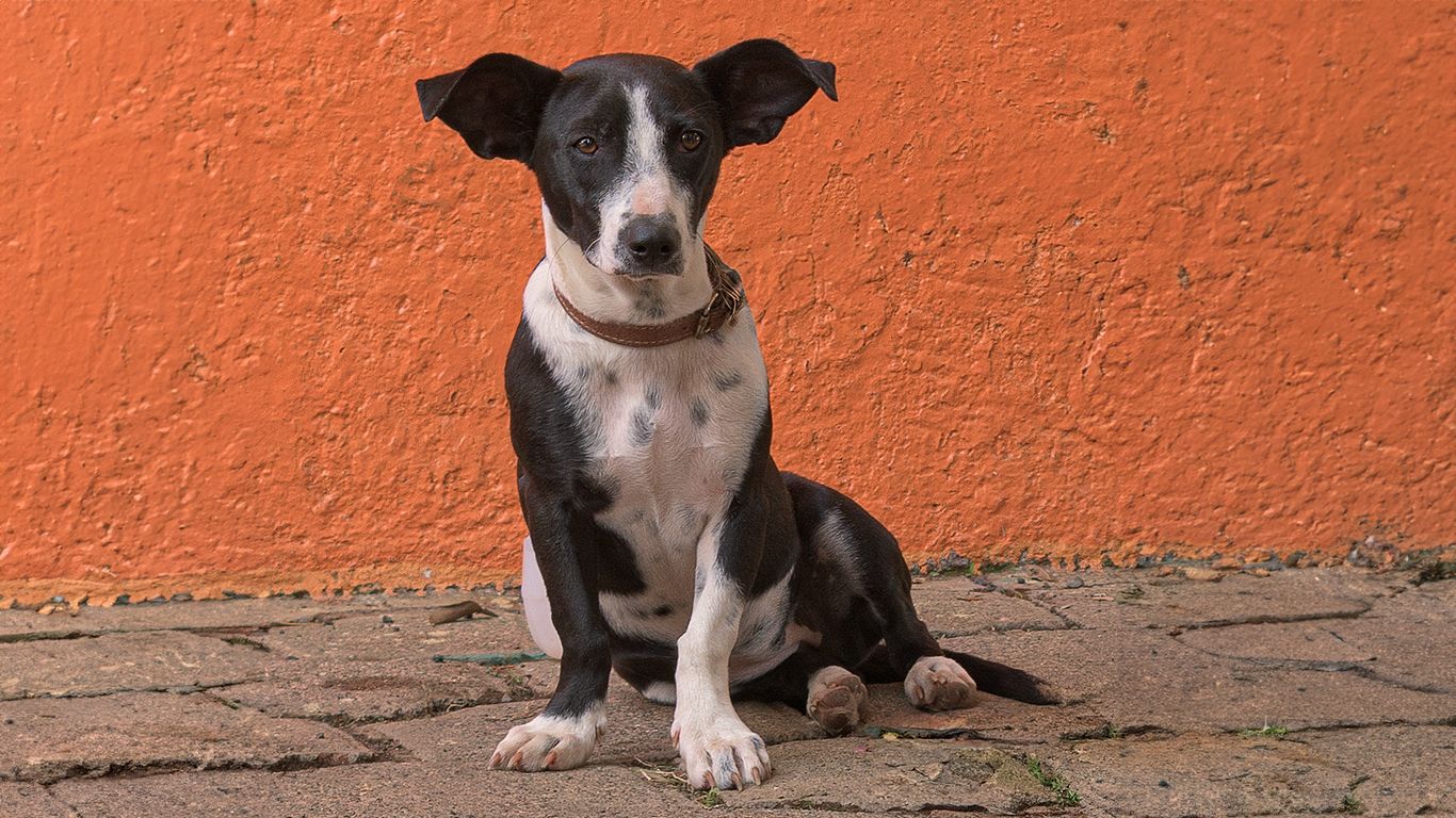 Posando para la eternidad