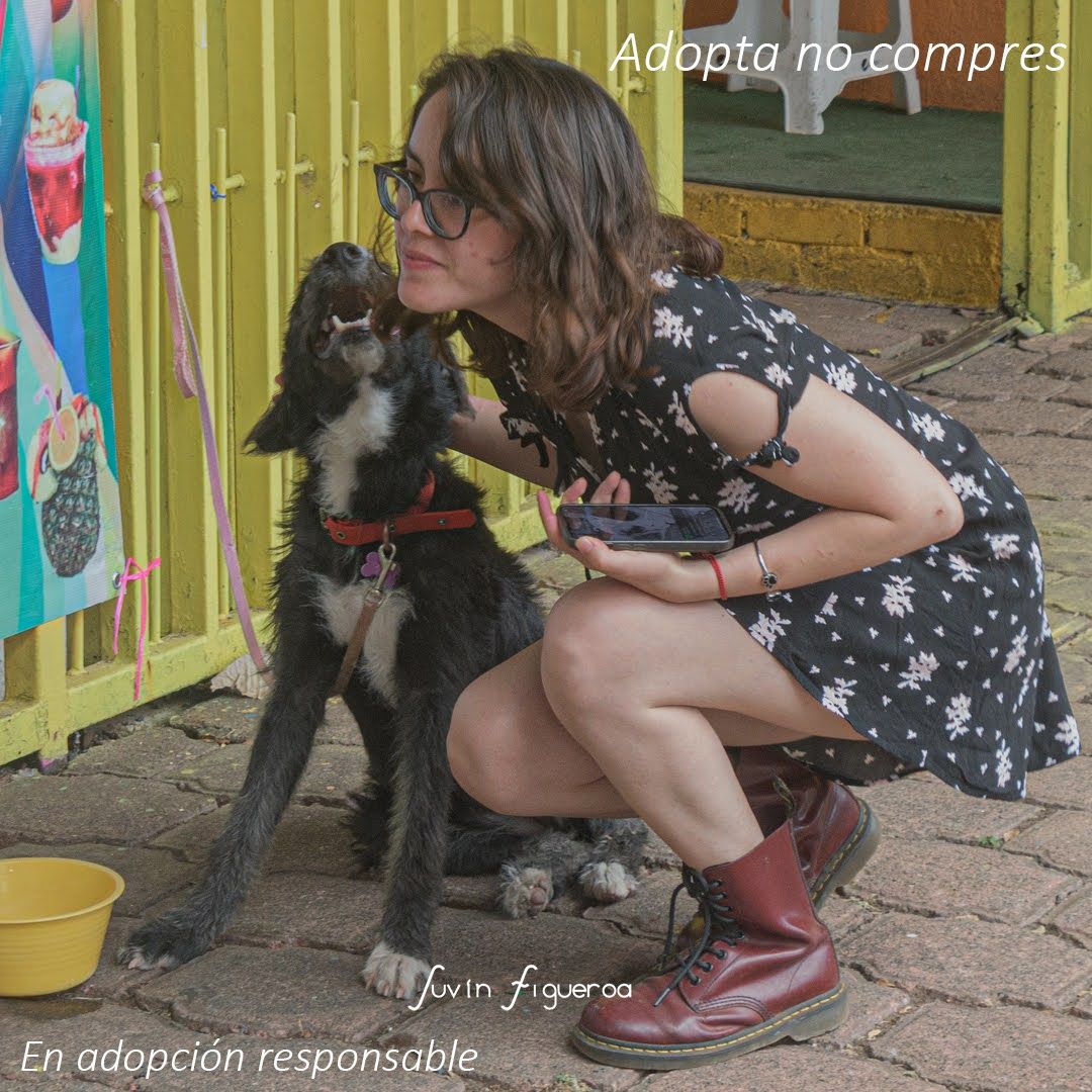 Humana, vamos a ser bien felices te lo aseguro