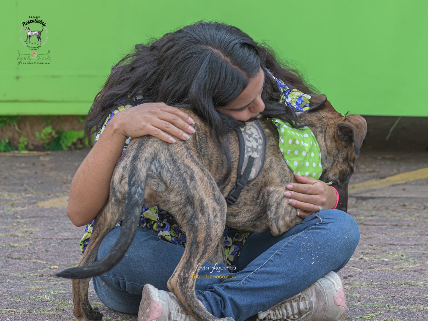 Blitzi recibiendo amor...