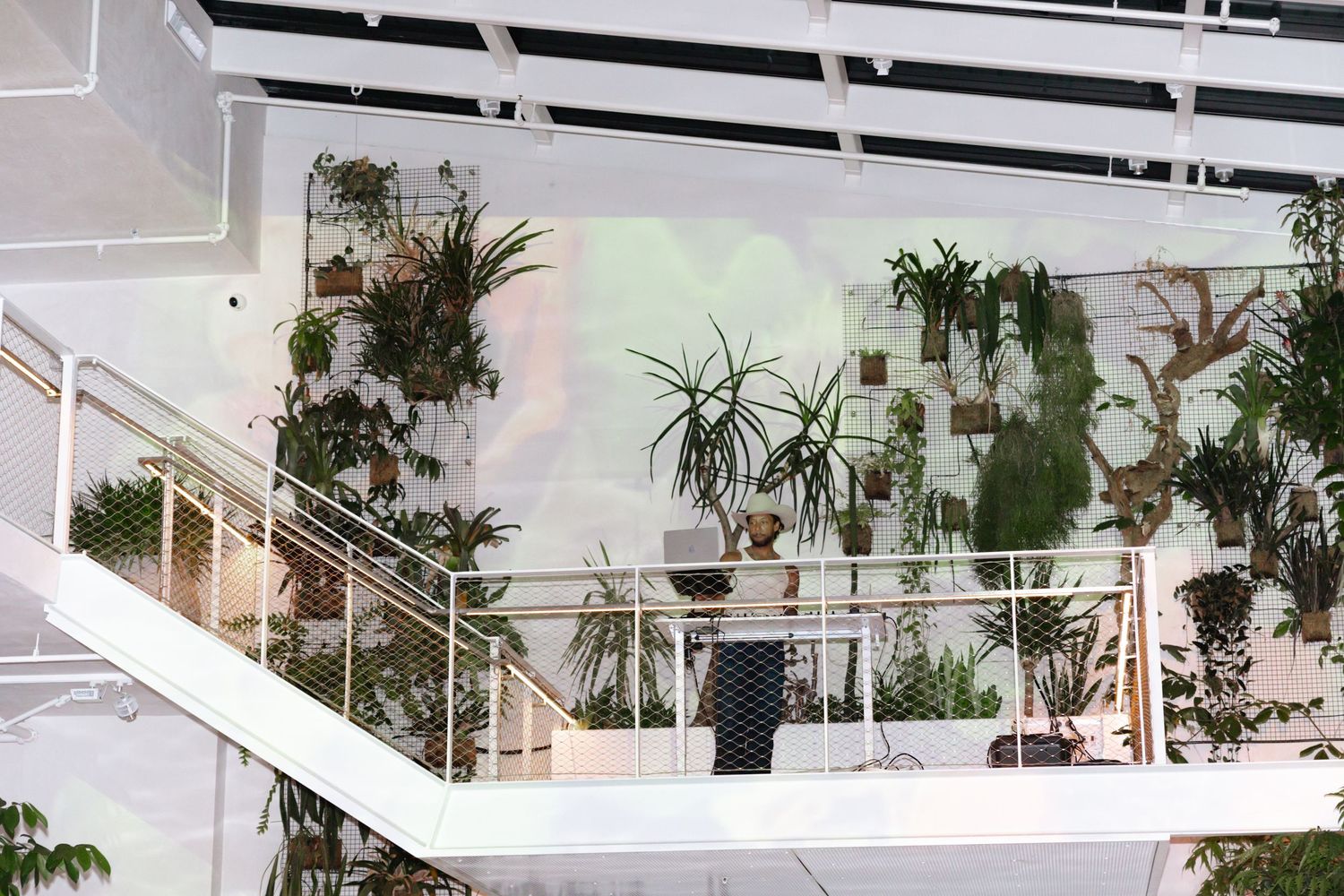 A greenhouse-style interior space with hanging plants and white beams creating an airy, modern atmosphere.