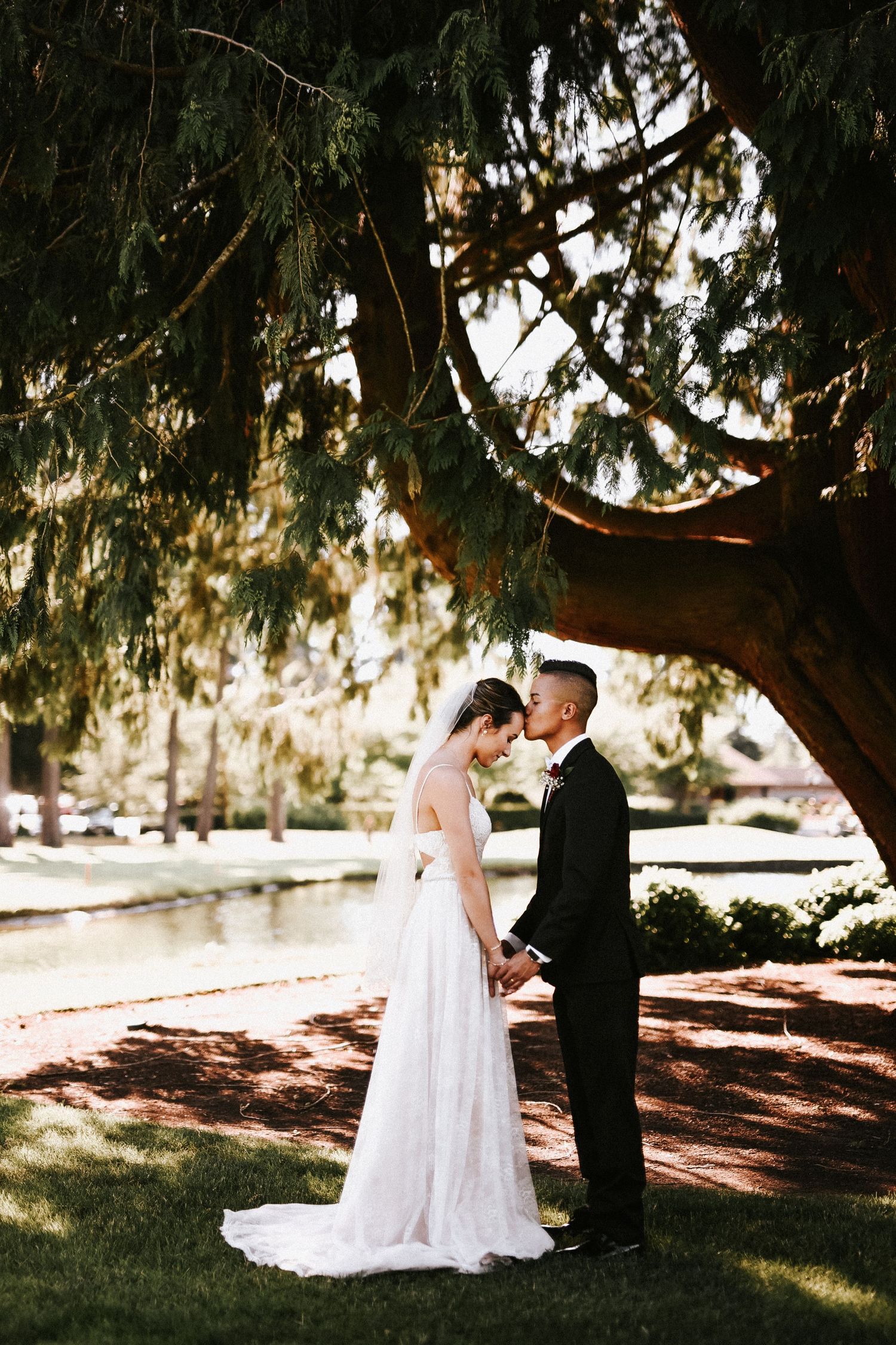Newlyweds share an intimate moment under a large tree in dappled sunlight.
