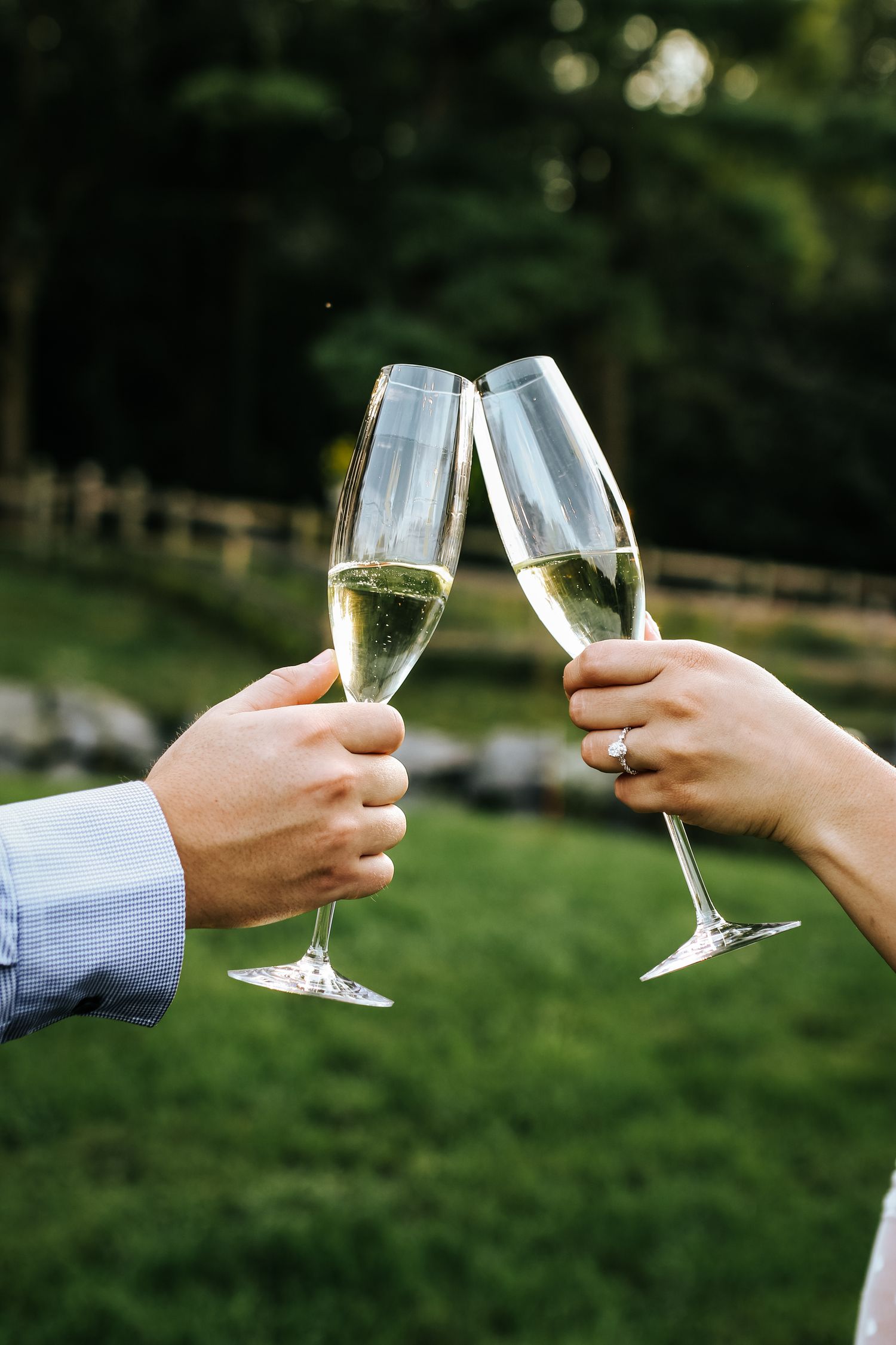 Two hands toasting with champagne flutes in an outdoor garden setting.