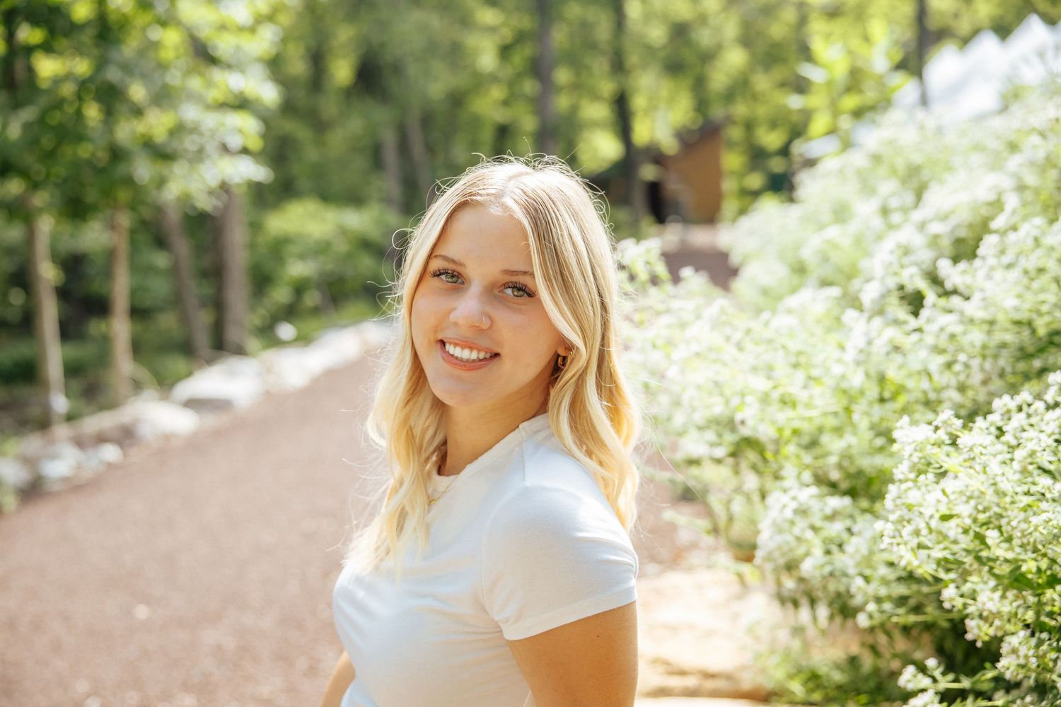 Sunlit wooded path with white wildflowers blooming among green foliage.