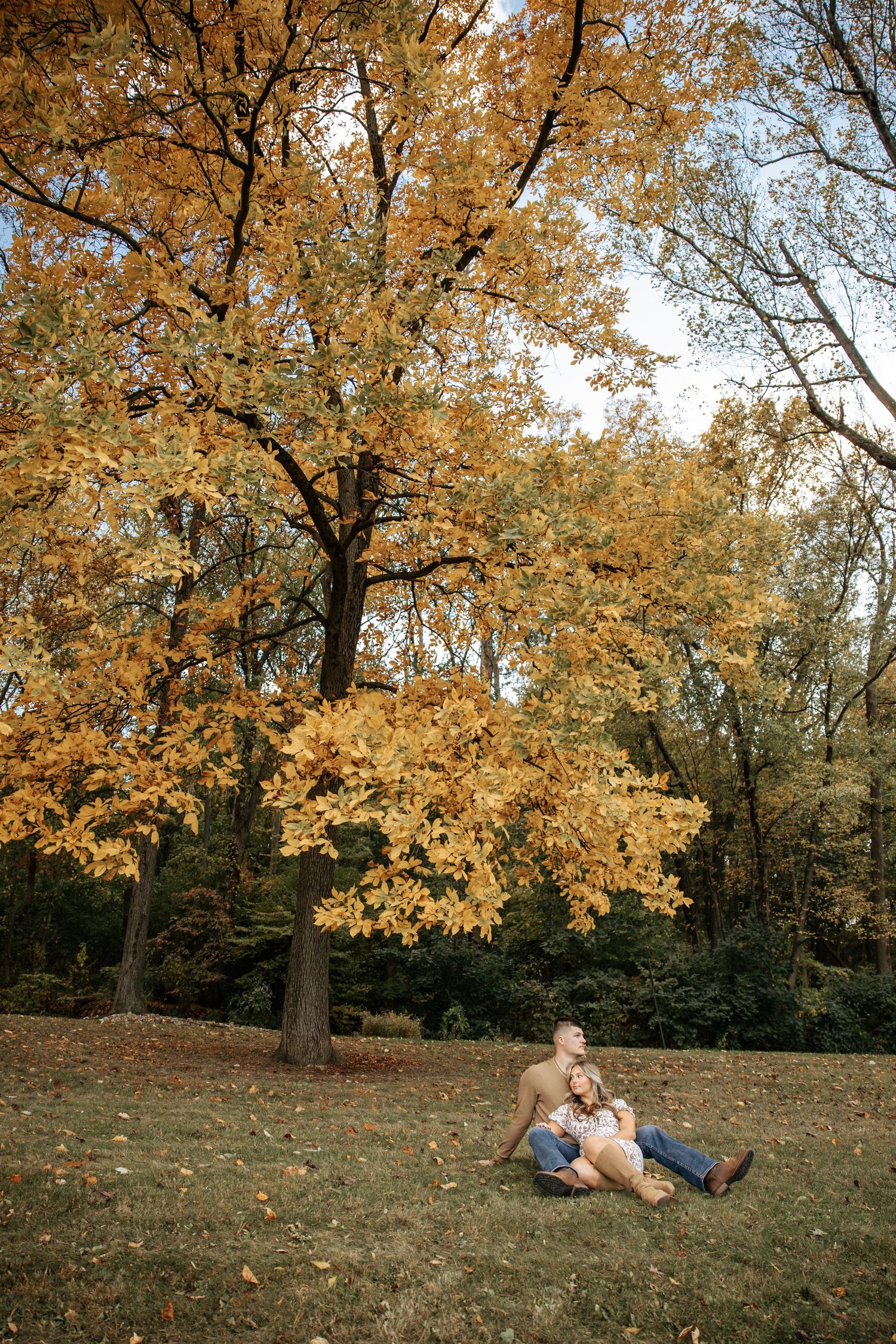 Wide angle shot of couple relaxing under trees with golden fall foliage.