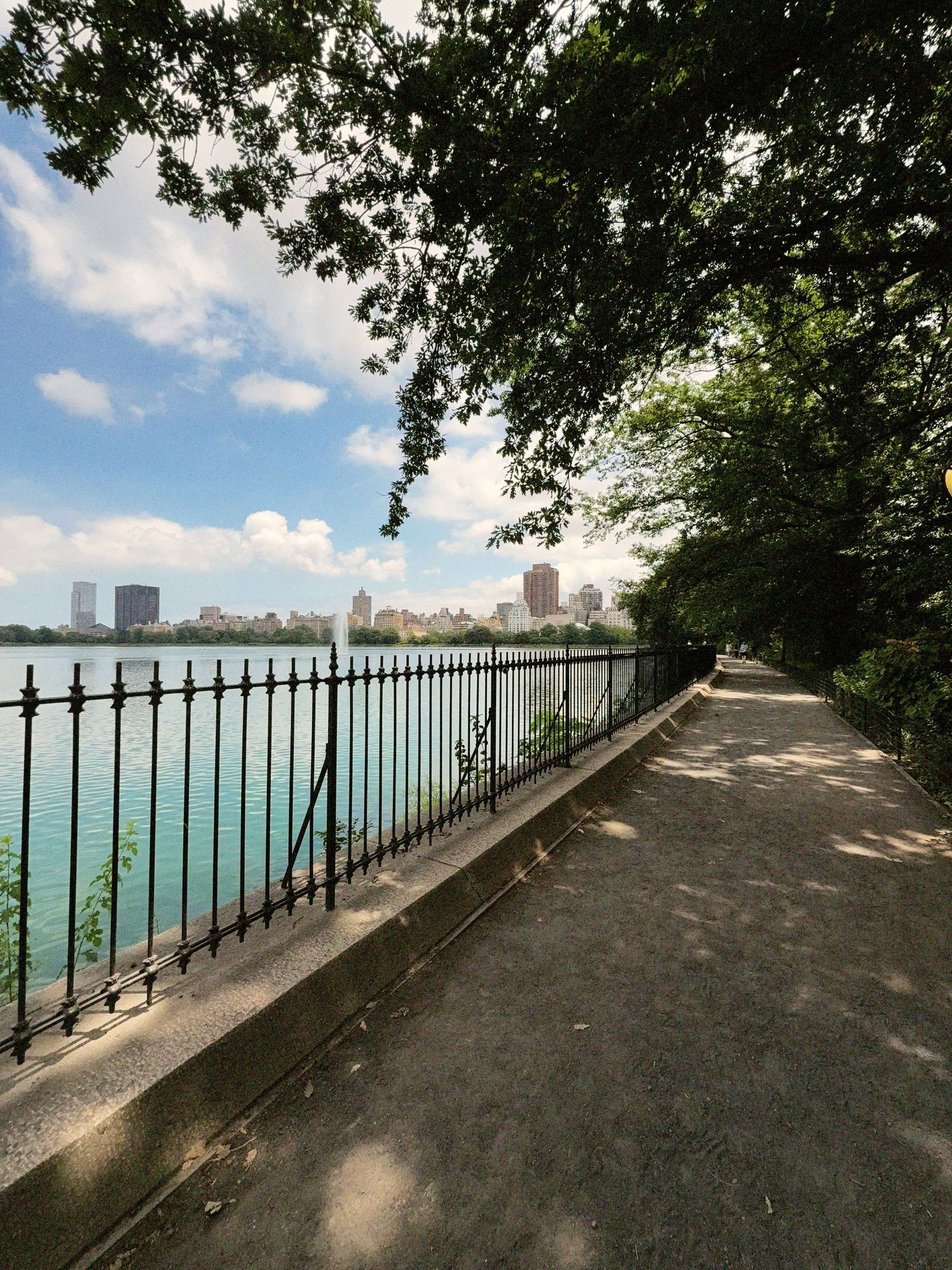 A pond is gated in New York City's Central Park