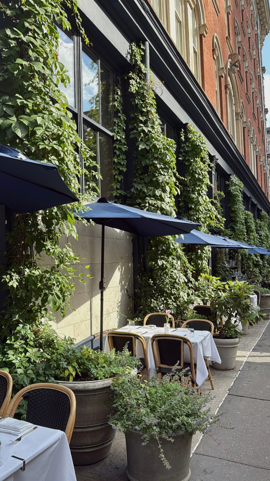 A New York City restaurant's outdoor patio area with vines and umbrellas.