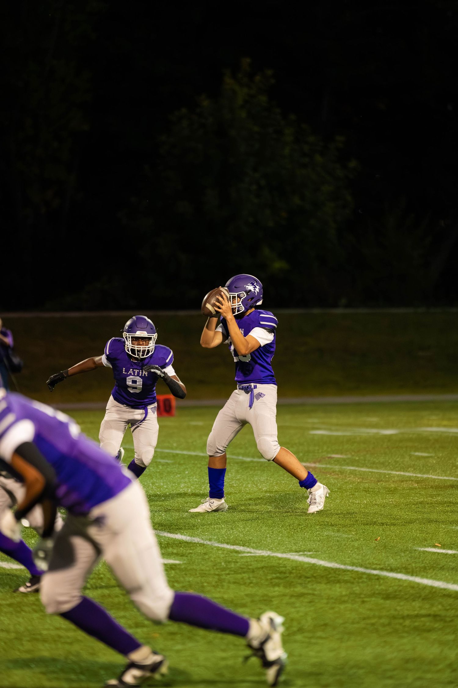 A quarterback catches the ball in a pass