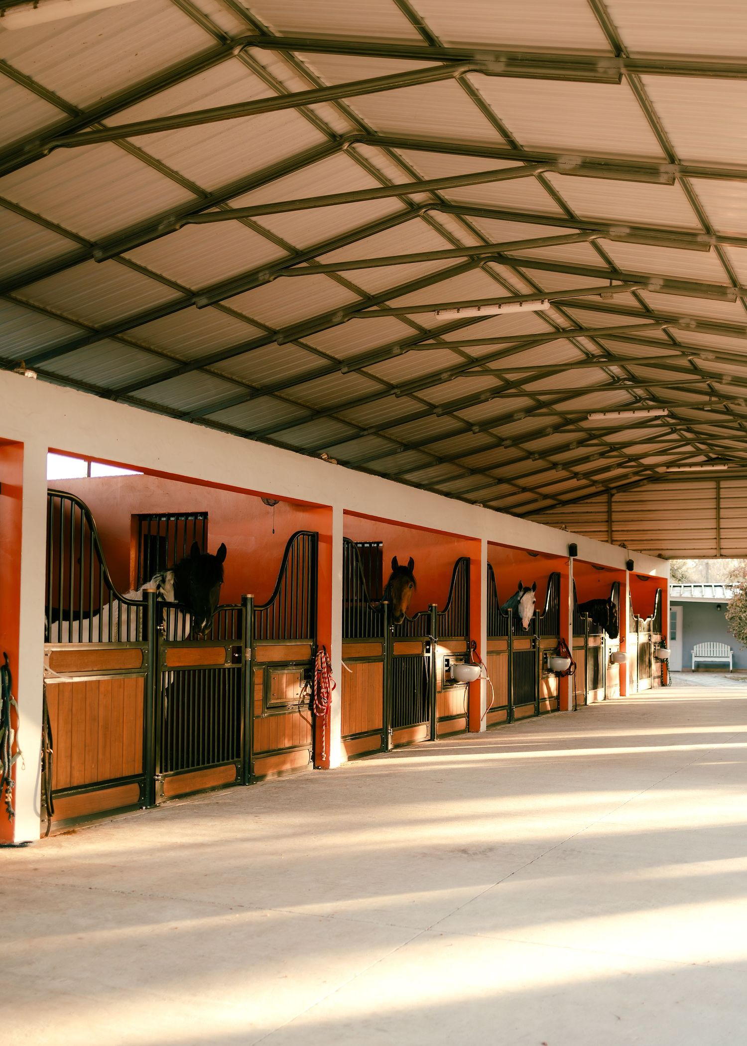 Modern horse stable interior with multiple stalls housing horses under an arched metal roof.