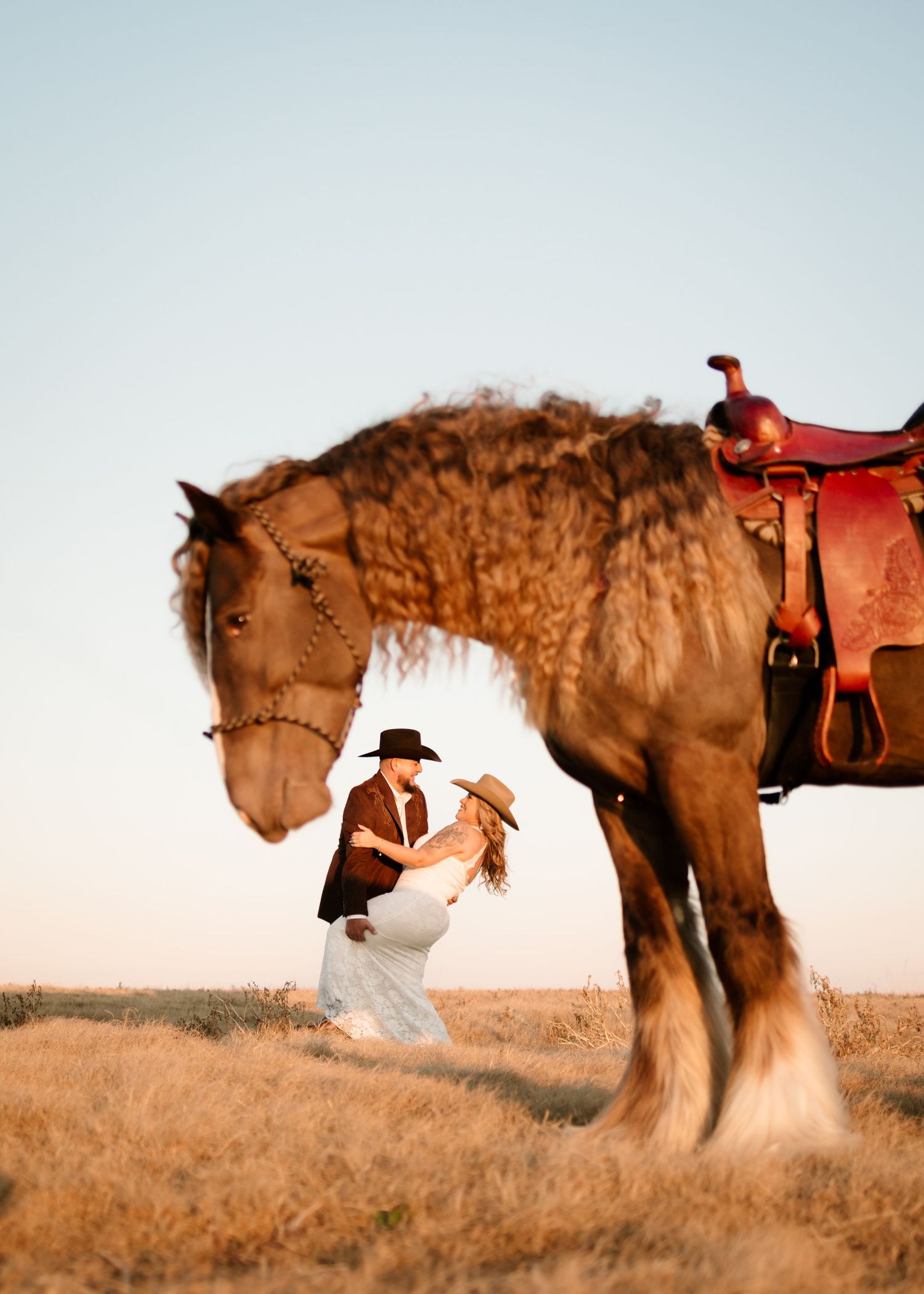 Couple sharing a romantic dip kiss beneath a saddled Clydesdale horse in a golden field at sunset.