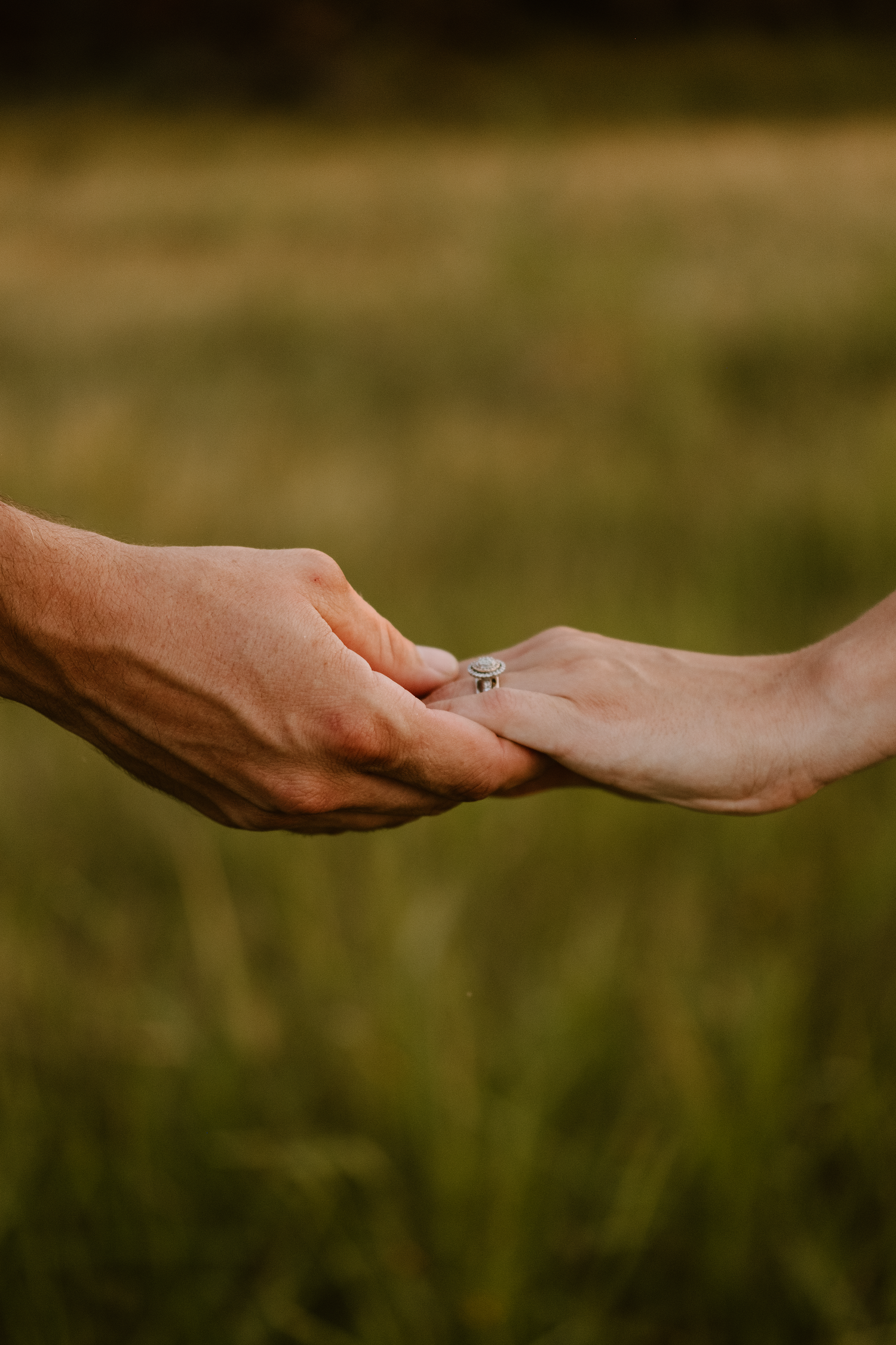 Close-up photo of two hands reaching out to hold each other tenderly against a soft blurred green background.