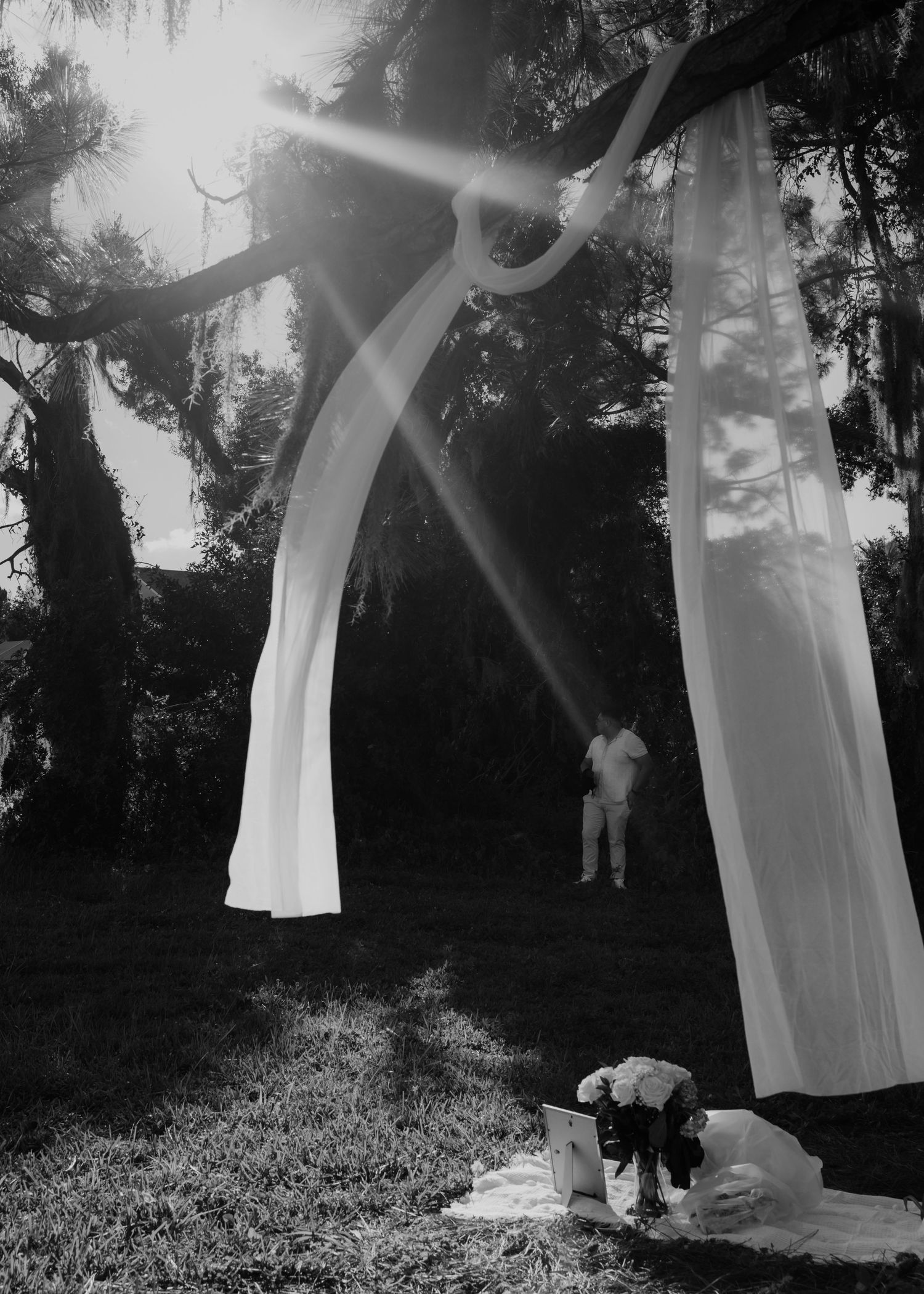 Black and white photo of white fabric draped over trees forming an arch with sunbeams and flowers on a blanket below.