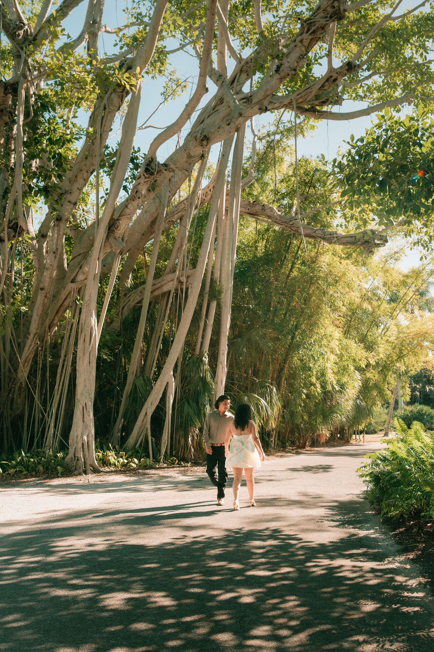 Couple walking hand in hand along a sunlit path beneath sprawling banyan trees in a lush tropical garden.