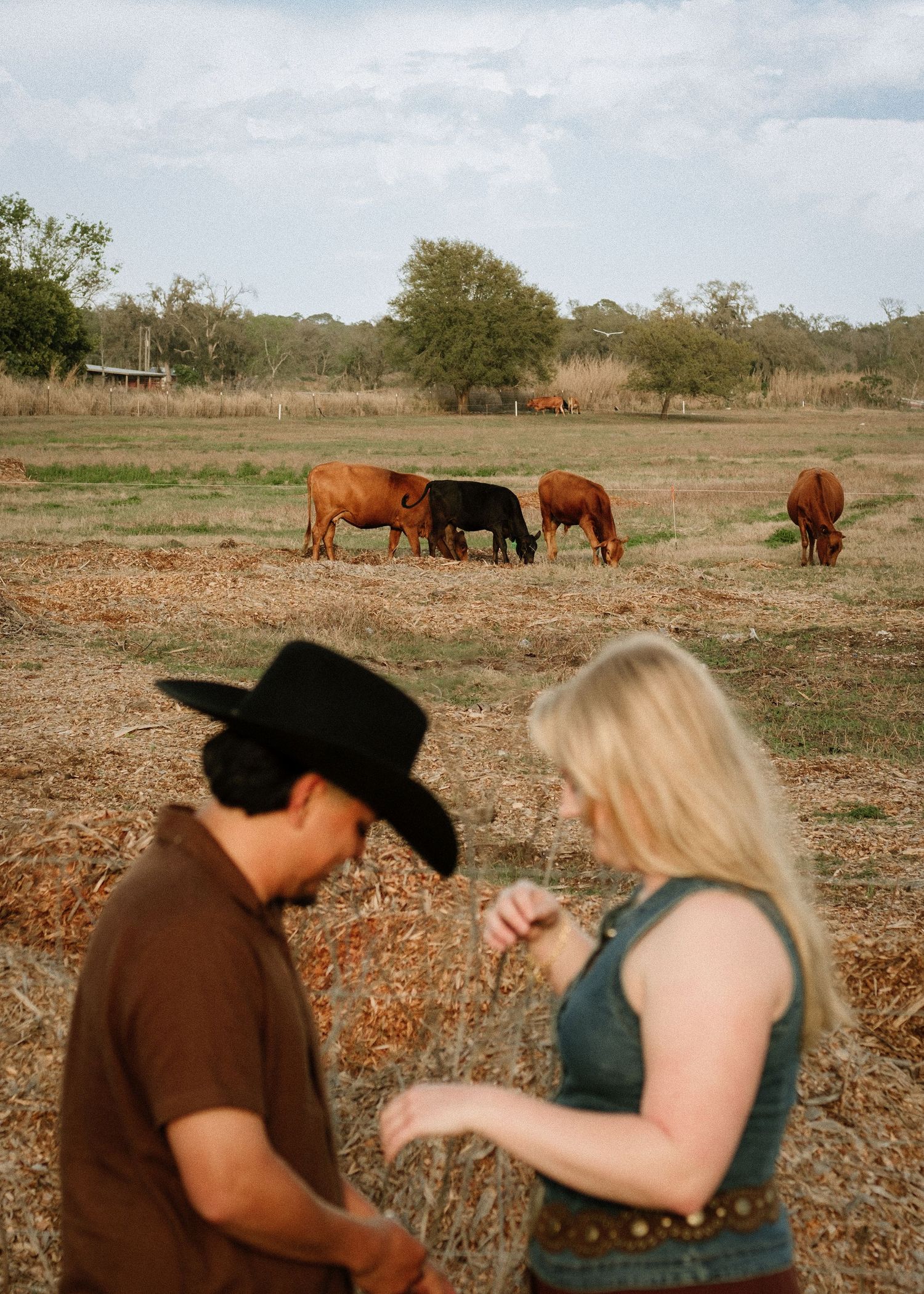 A couple in western wear stands in a dry field with brown cattle grazing peacefully in the background.