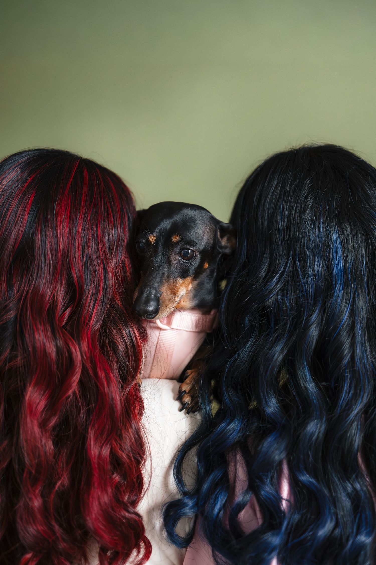 Two women with colorful hair, one red and one dark blue-black, holding a small dachshund dog between them.