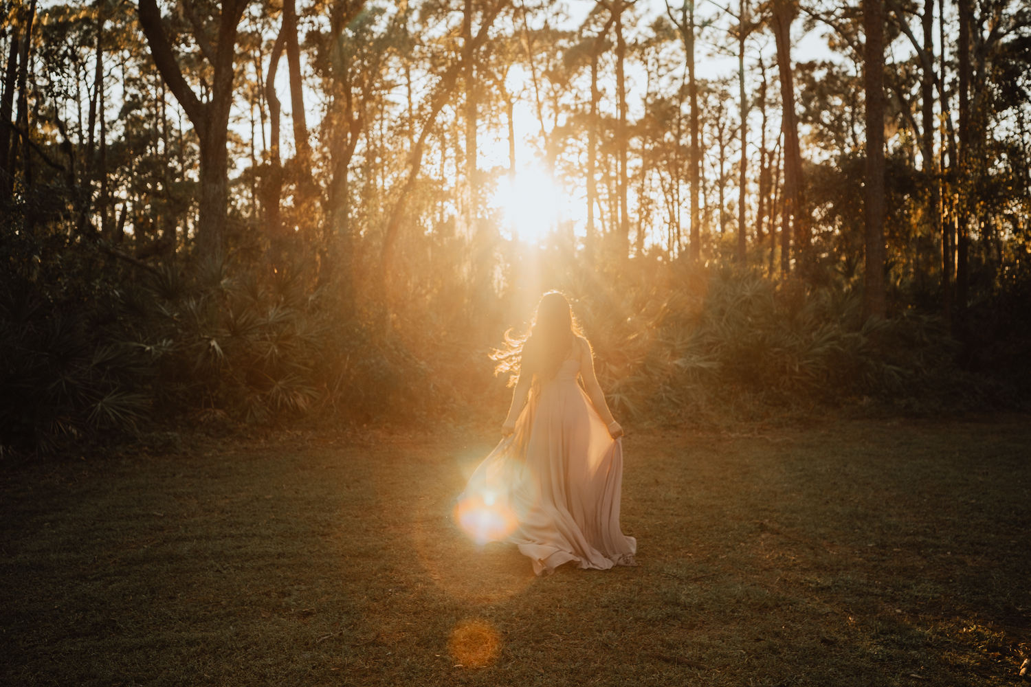 A silhouetted figure stands in a golden forest at sunset with sun rays streaming through tall pine trees.
