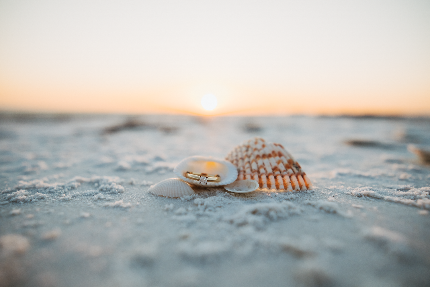 Close-up of seashells and a ring resting on sandy beach at golden sunset hour.