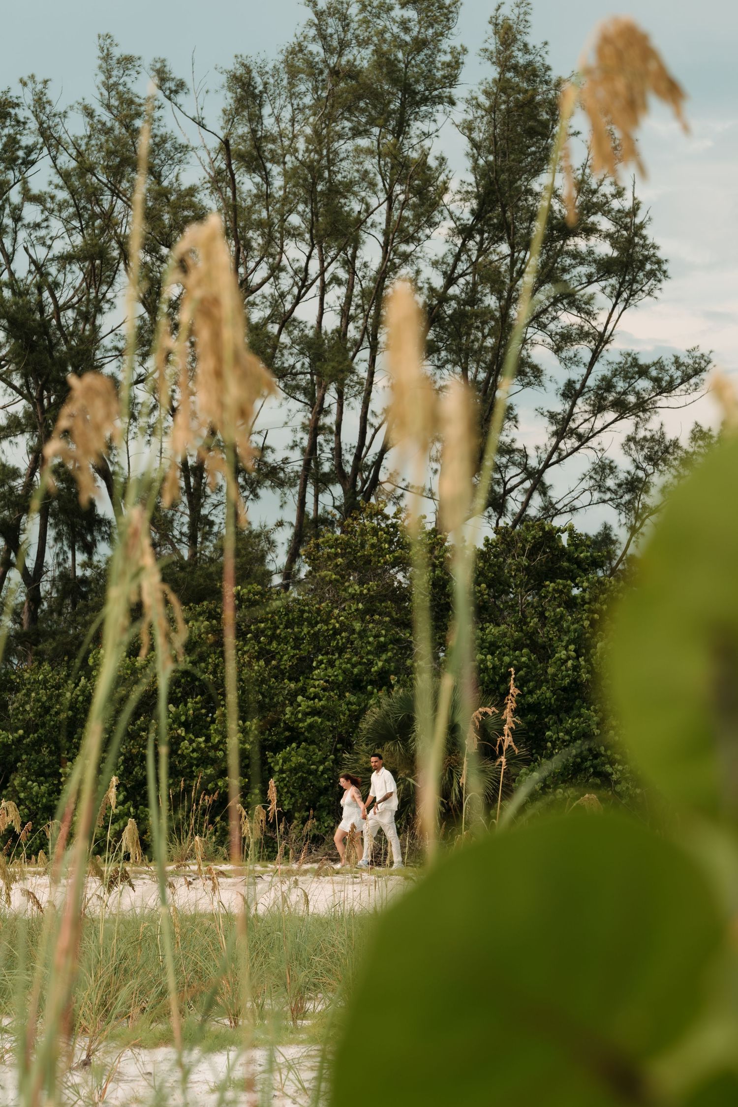 Couple embracing on white sand beach surrounded by sea oats and lush green trees in a romantic outdoor setting.