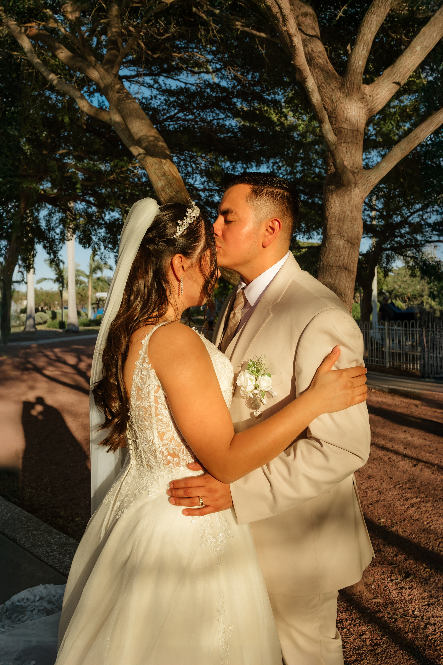 Bride and groom share a romantic kiss under a large tree in warm golden hour sunlight on their wedding day.