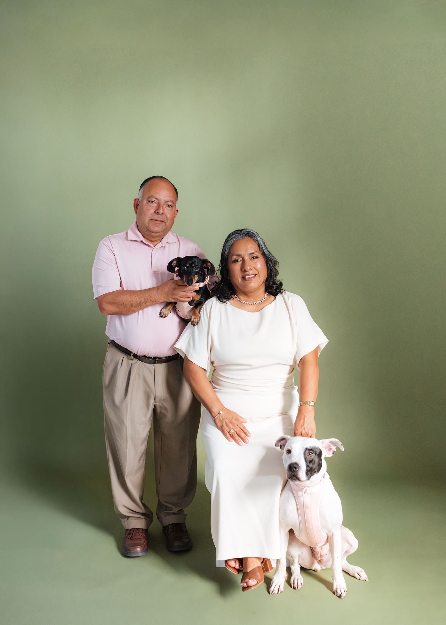 A couple poses with two dogs, a small black puppy and a white pit bull, against a green studio background.