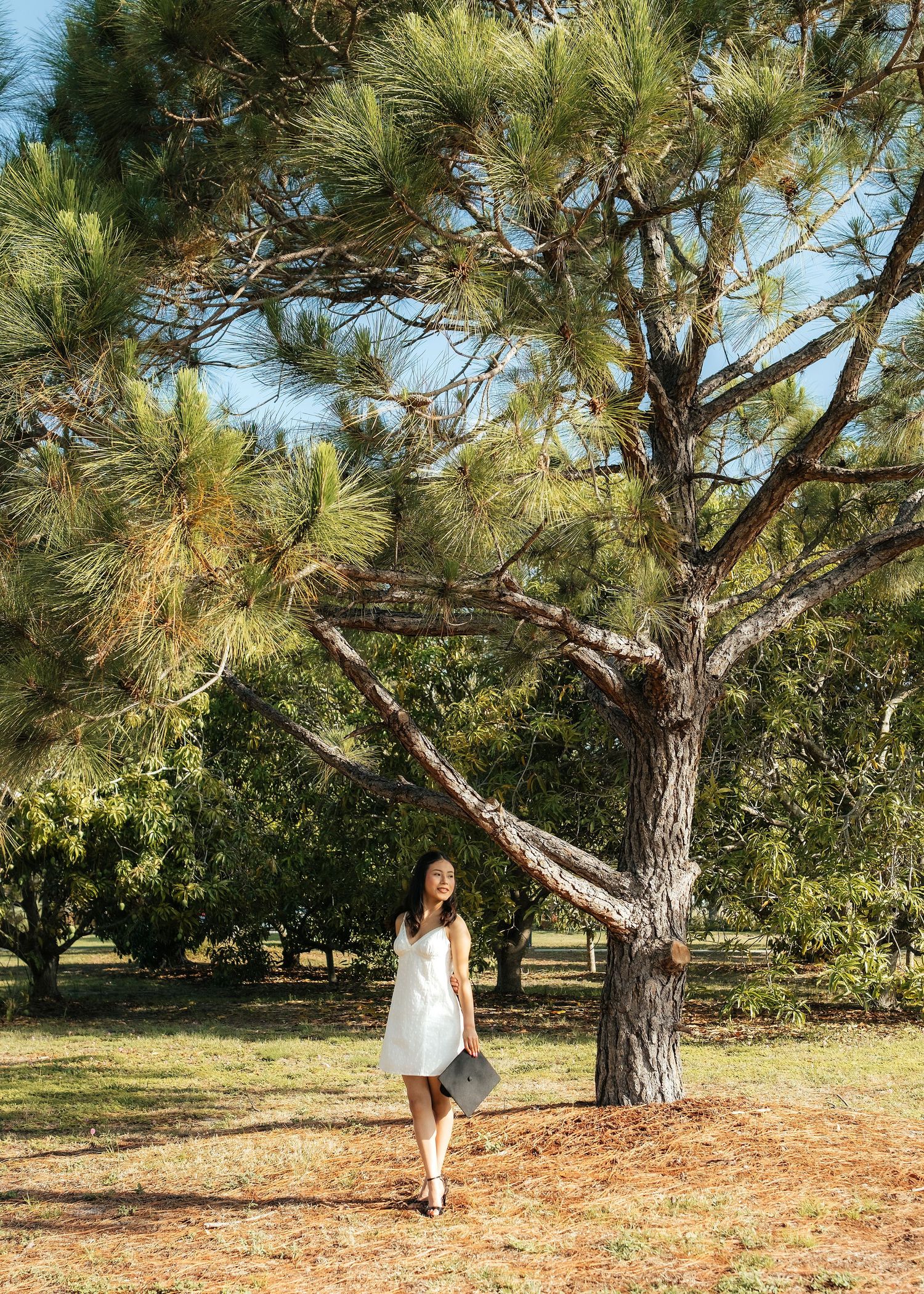 Woman in white dress standing under a large pine tree in a sunny park setting.