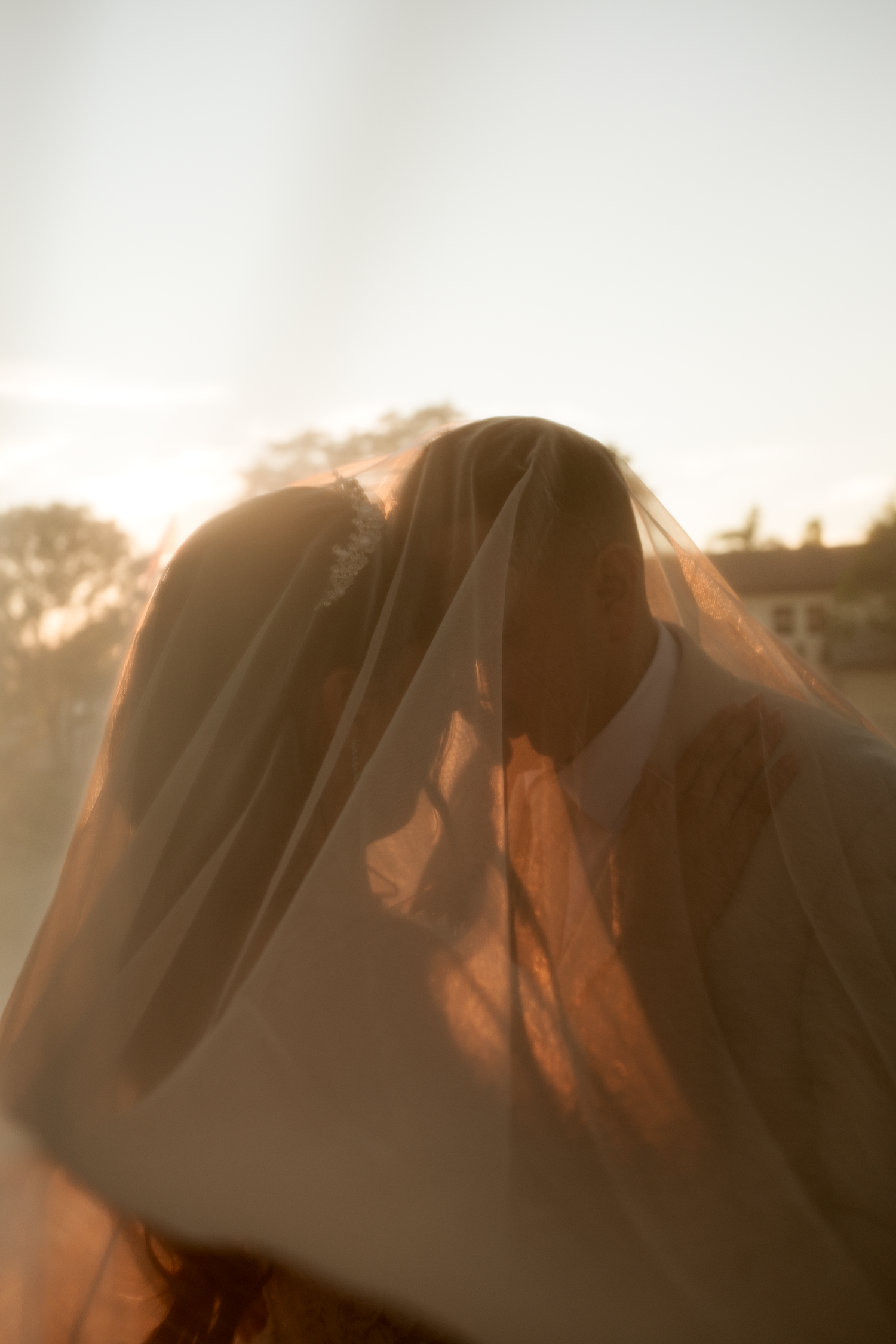 Romantic golden hour wedding portrait of bride and groom sharing a kiss under a flowing veil.