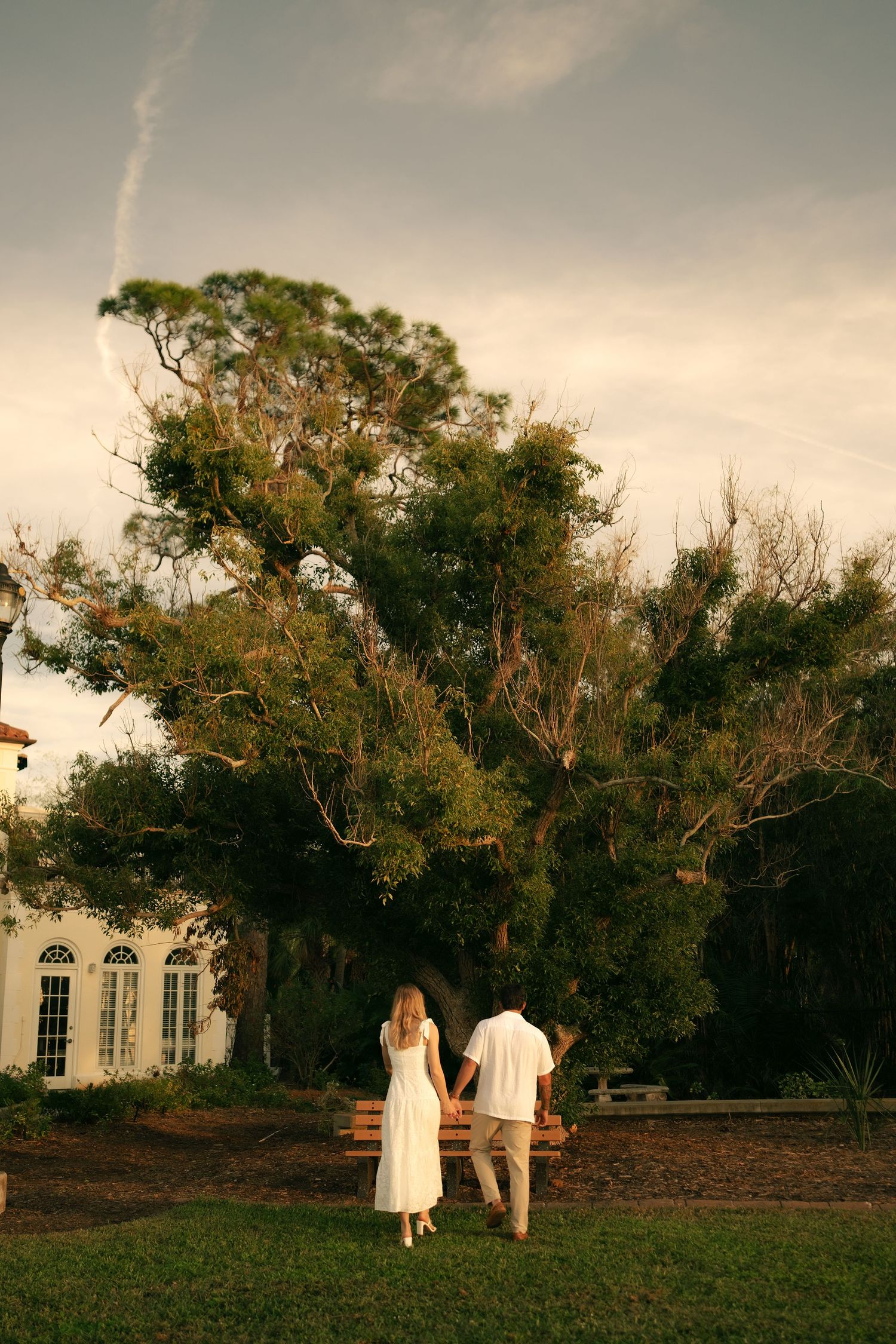 Couple in white holding hands walks toward a wooden bench under a large tree beside an elegant estate at dusk.