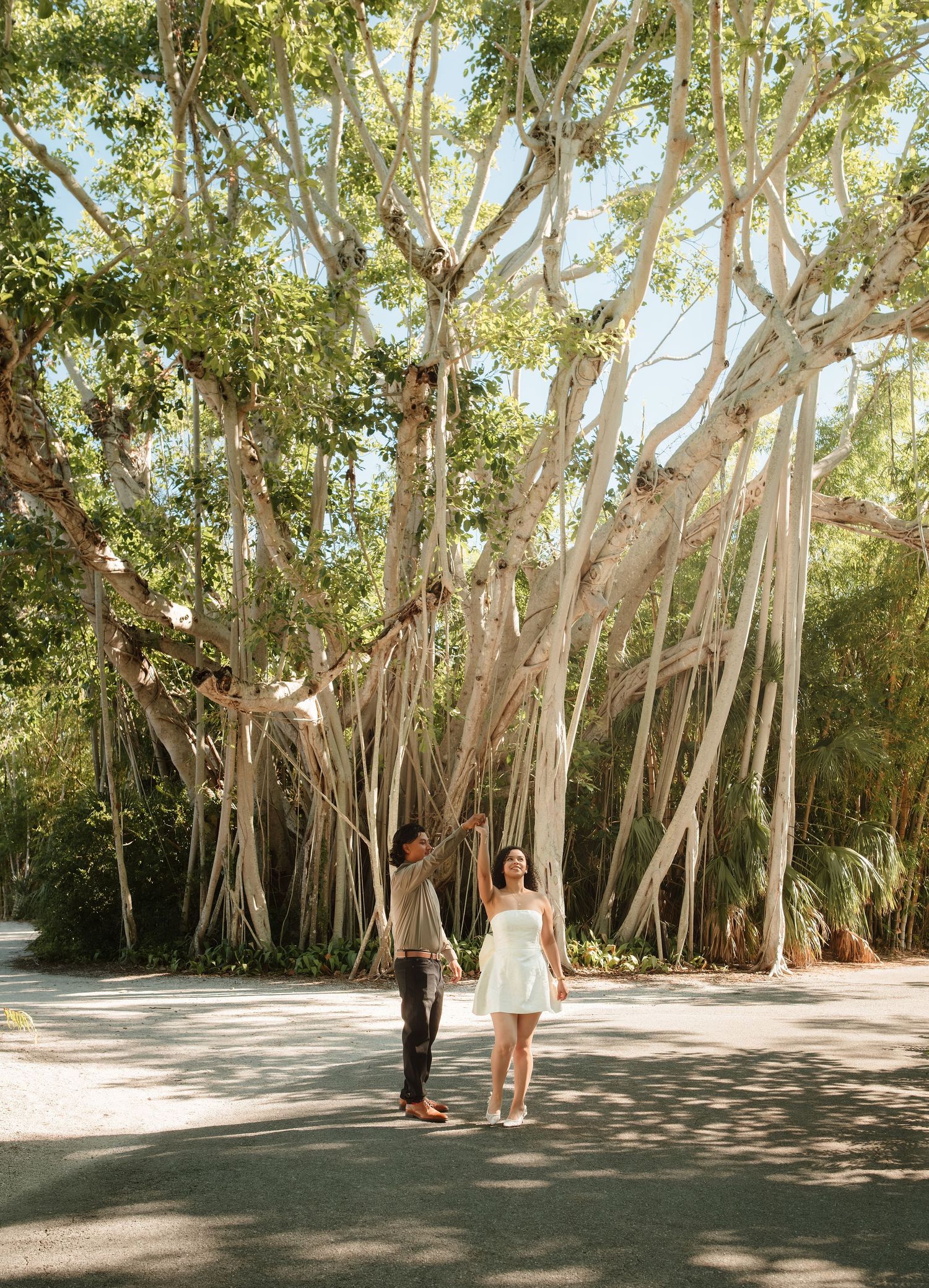 Couple holding hands walking under a massive banyan tree with aerial roots in a sunny outdoor setting.