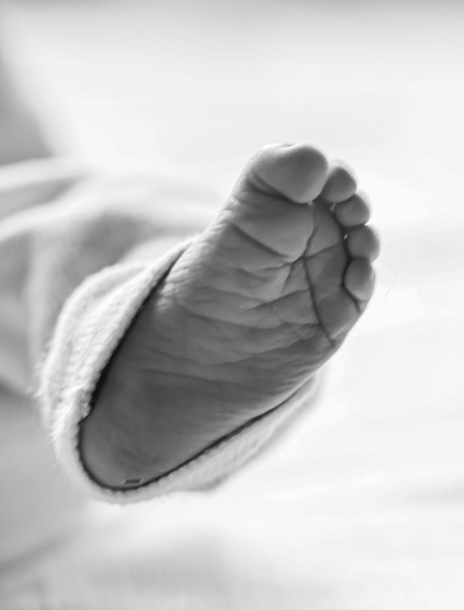 Black and white macro photograph of tiny baby feet against soft fabric.